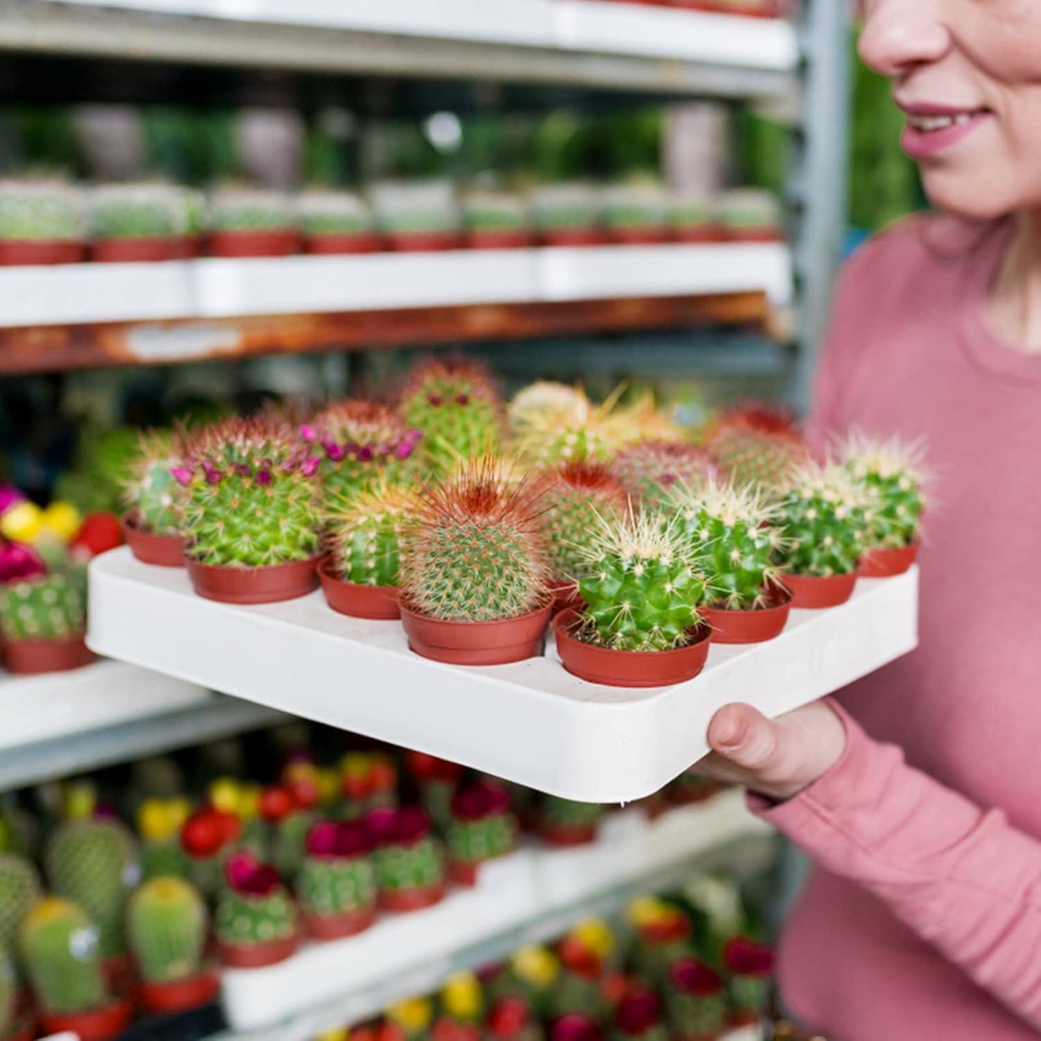 Macetas de Plástico Terracota KINGLAKE GARDEN 50 Unidades 5.4 cm