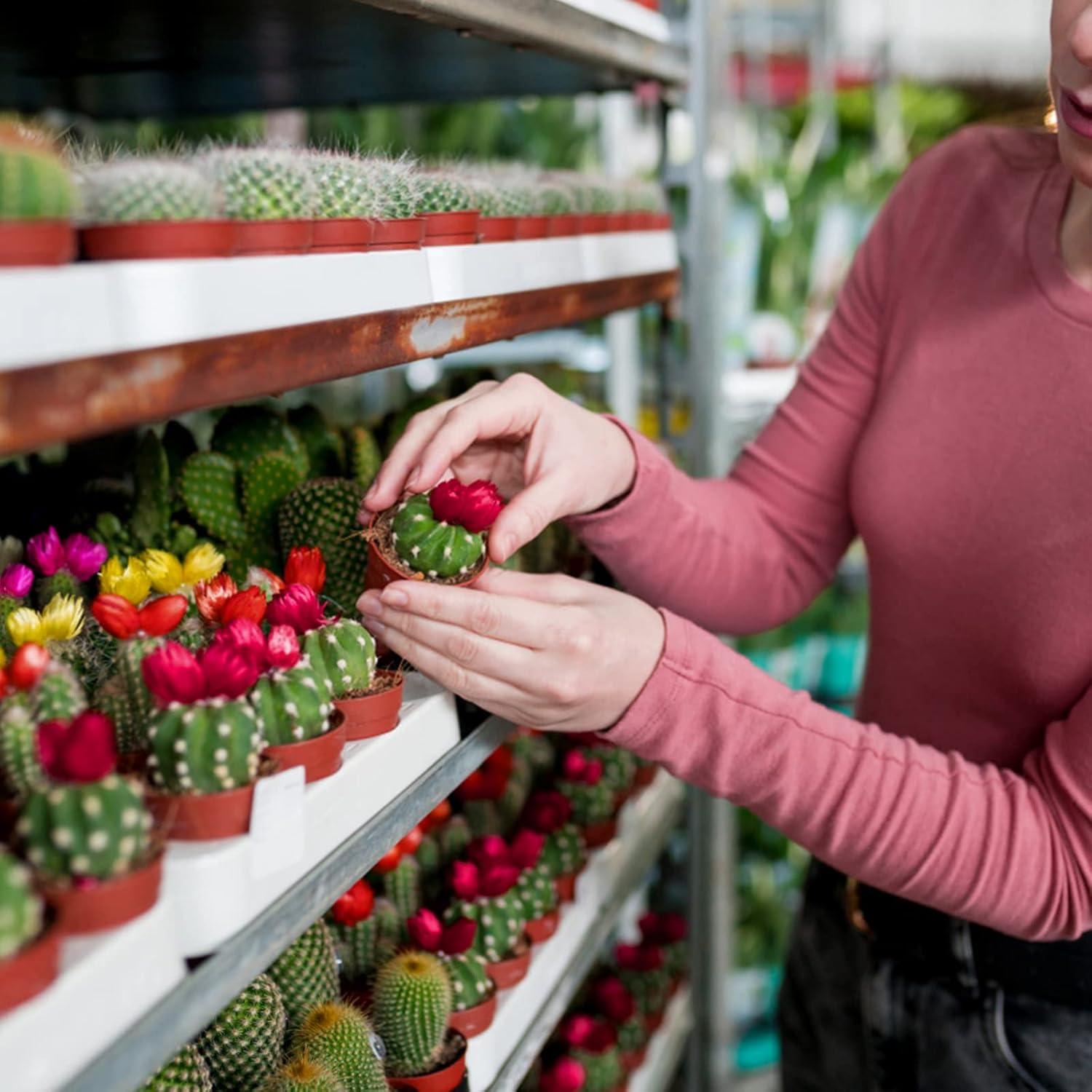 Macetas de Plástico Terracota KINGLAKE GARDEN 50 Unidades 5.4 cm