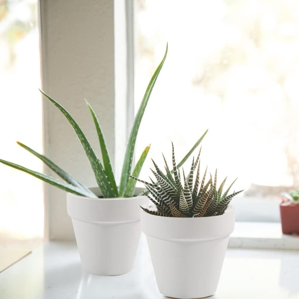 Macetas de Terracota Sderoq 3" - Paquete de 22 con Drenaje