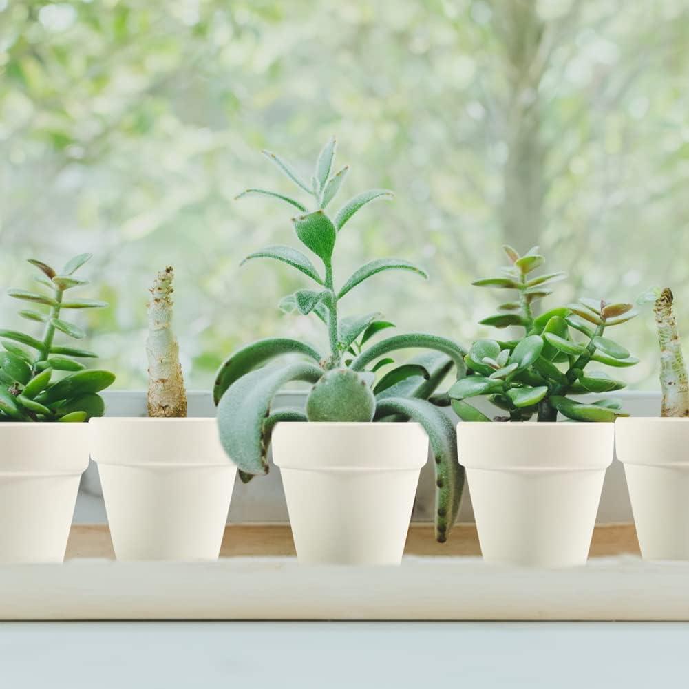 Macetas de Terracota Sderoq 3" - Paquete de 22 con Drenaje