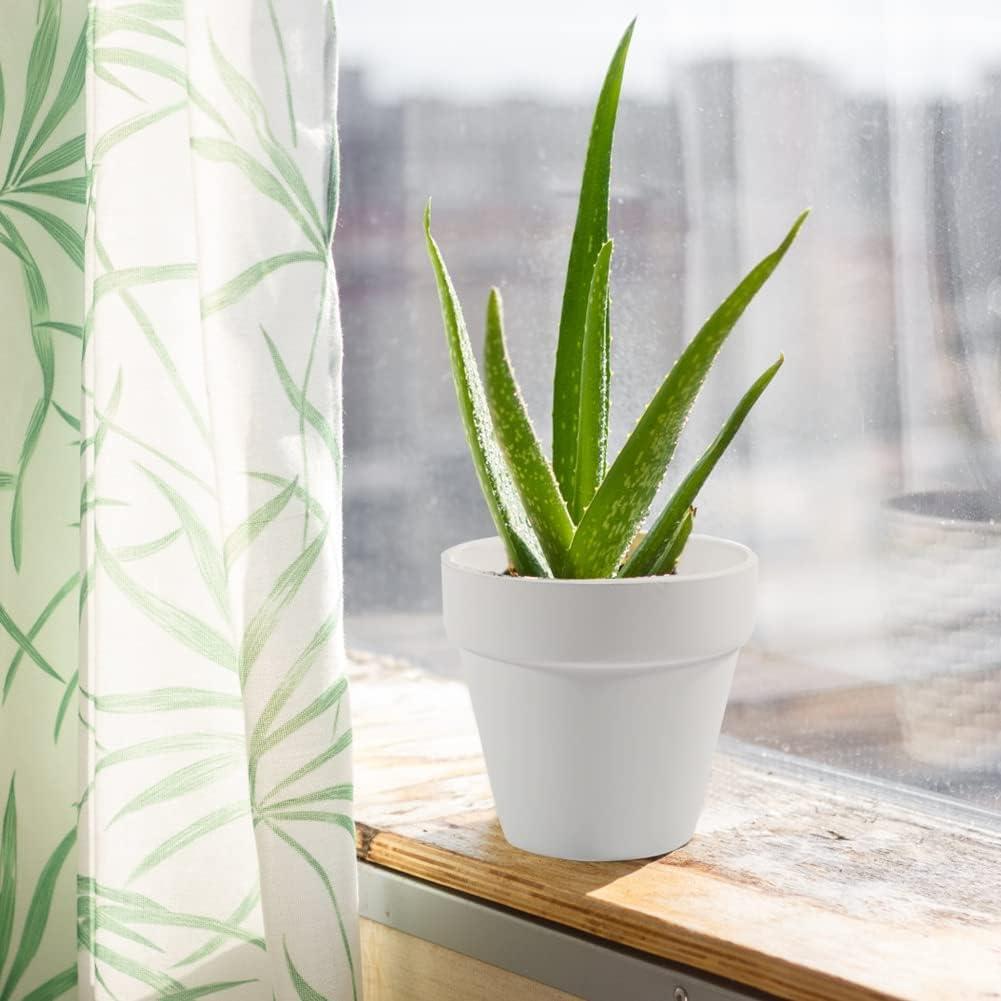 Macetas de Terracota Sderoq 3" - Paquete de 22 con Drenaje