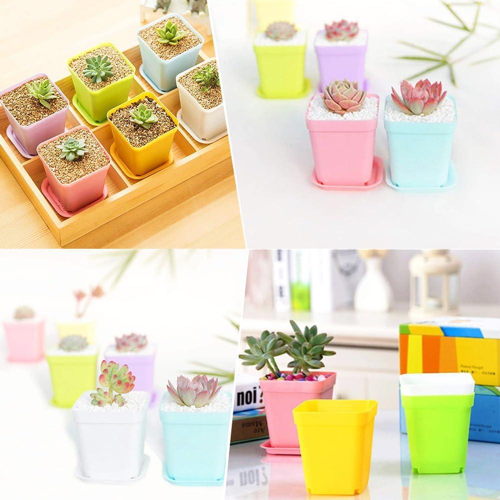 Macetas Coloridas de Plástico Cuadradas Haawooky 24 Piezas