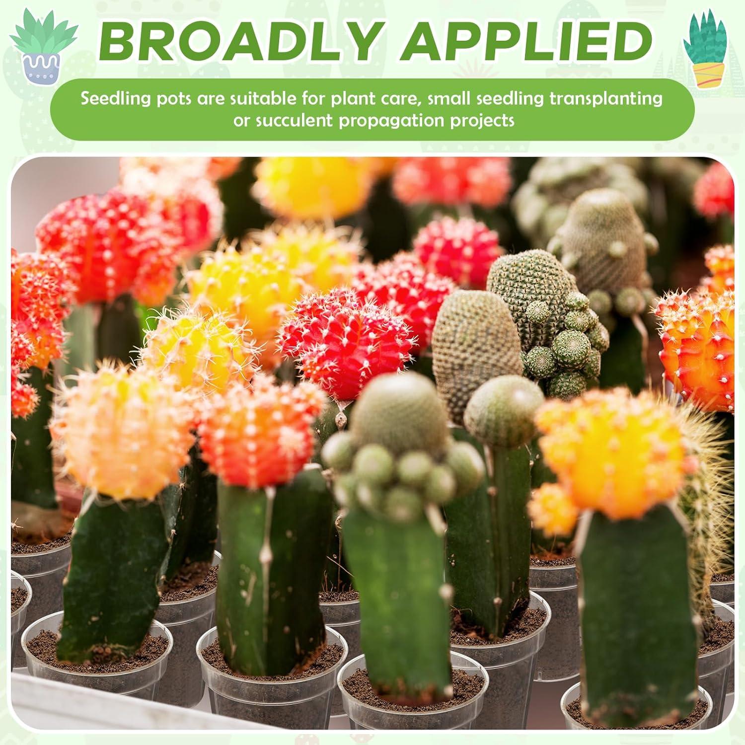 Macetas de Plástico Transparentes 5 cm Yaomiao - 200 Pcs con Drenaje