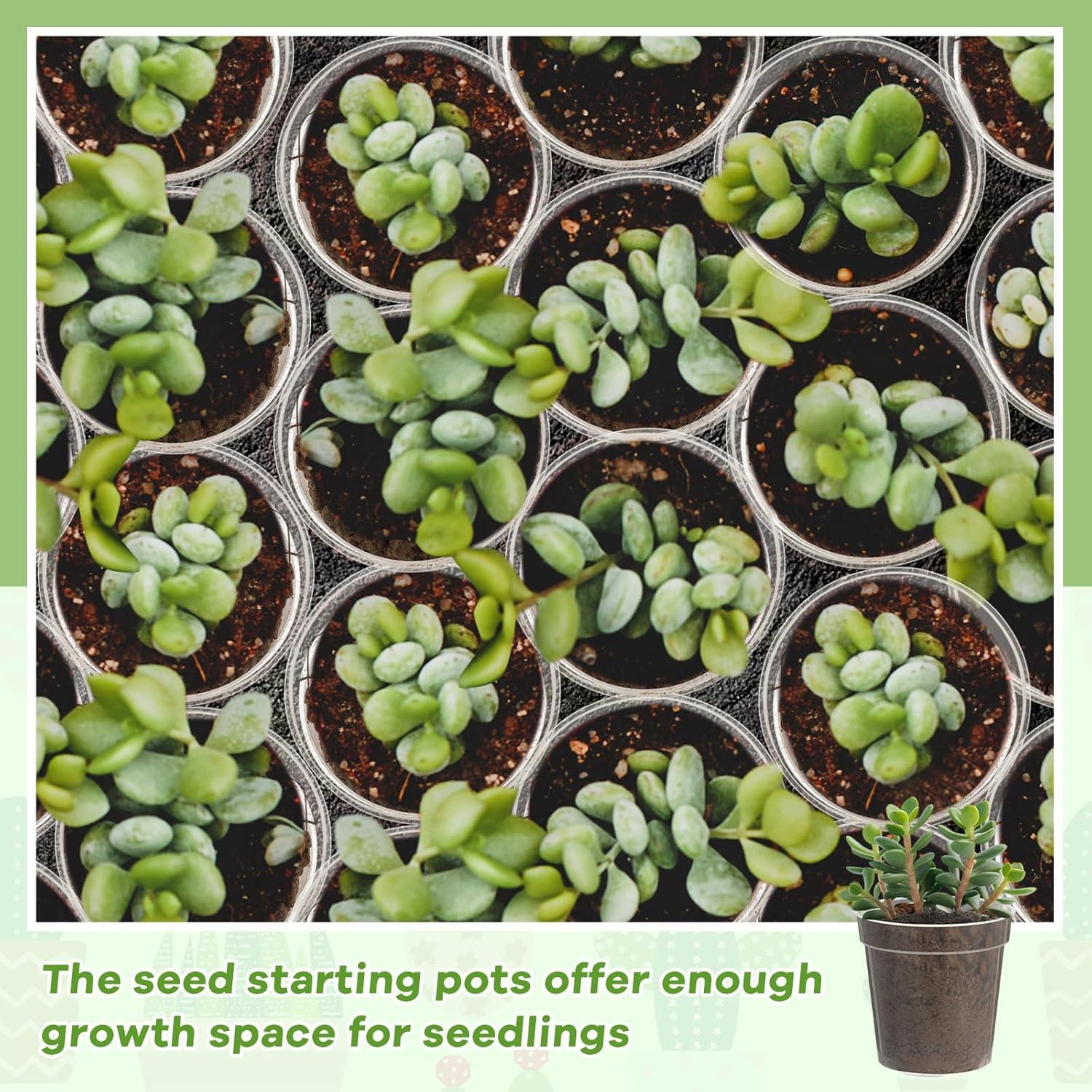 Macetas de Plástico Transparentes 5 cm Yaomiao - 200 Pcs con Drenaje