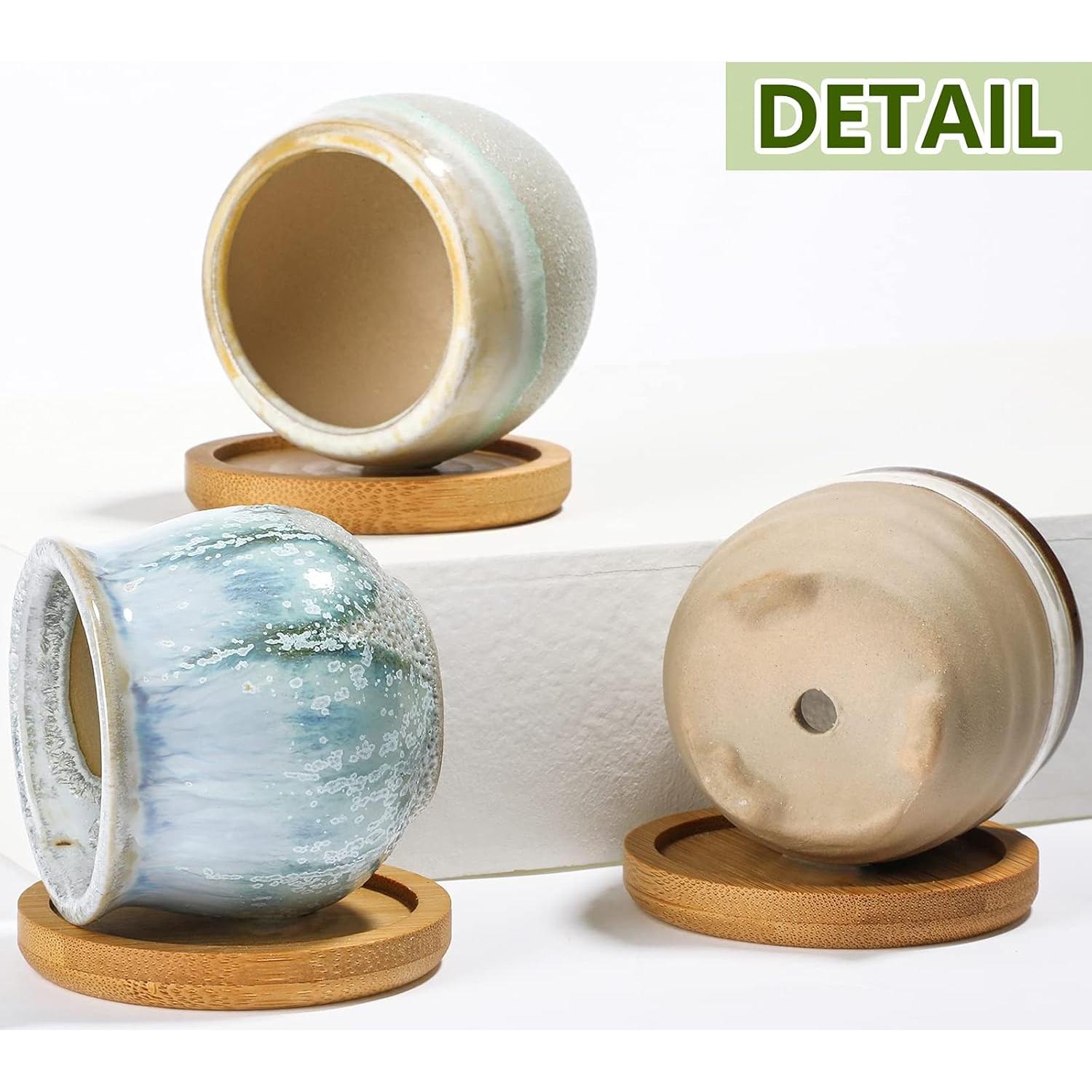 Macetas Cerámicas para Suculentas Remerry 12 Pcs 6 Estilos