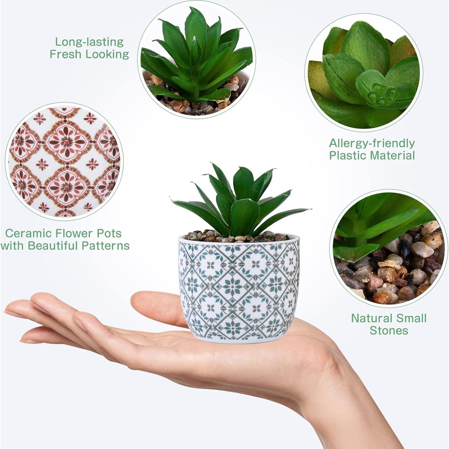 Plantas Artificiales Suculentas Karlliu en Maceta Cerámica 2 Piezas