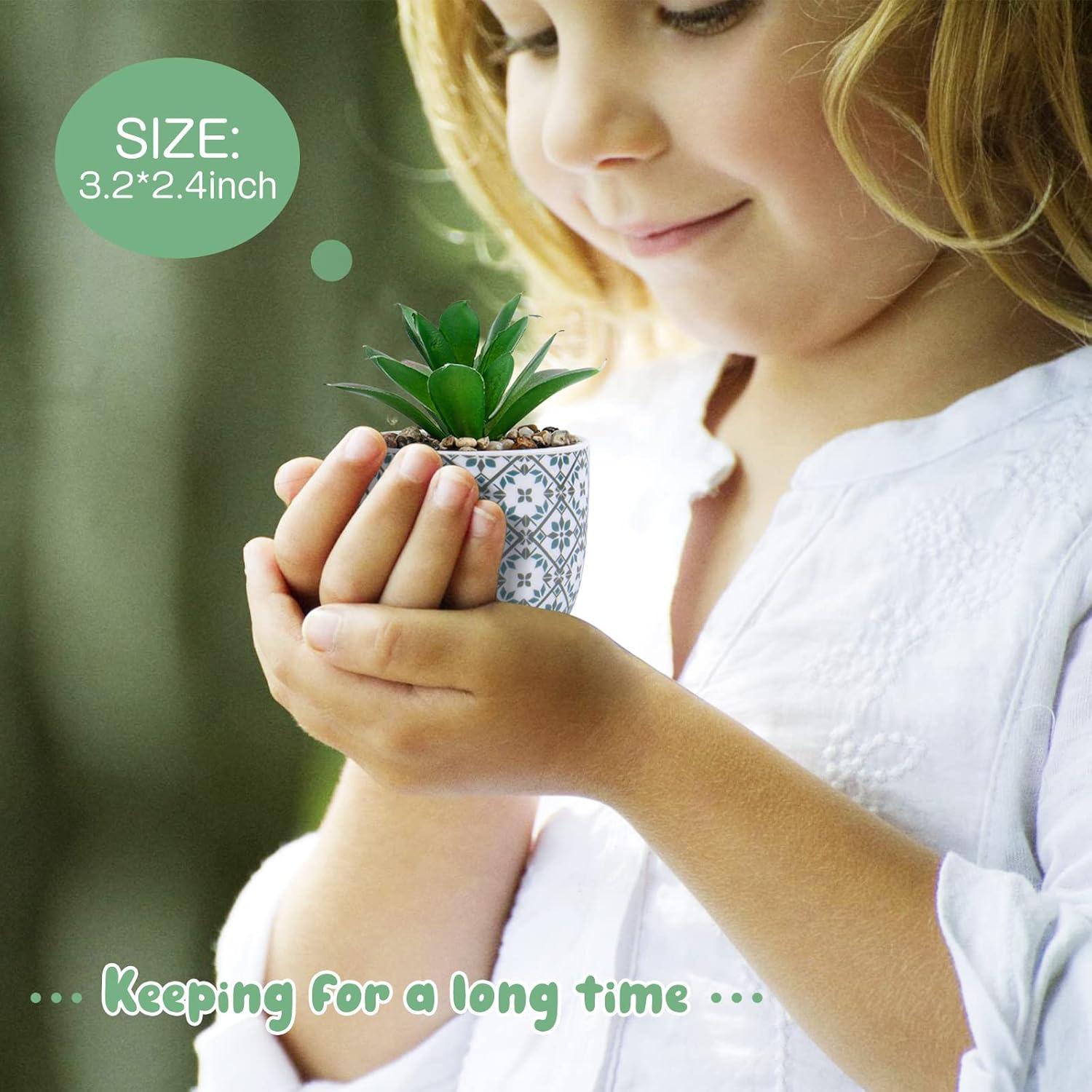 Plantas Artificiales Suculentas Karlliu en Maceta Cerámica 2 Piezas