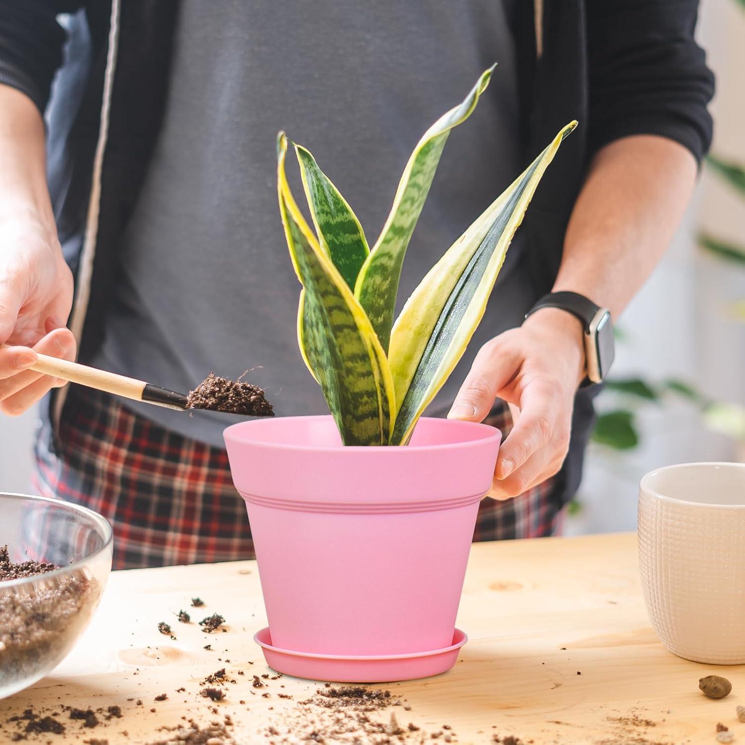 Macetas de Plástico 10 cm Meowell, Paquete de 16 Coloridas