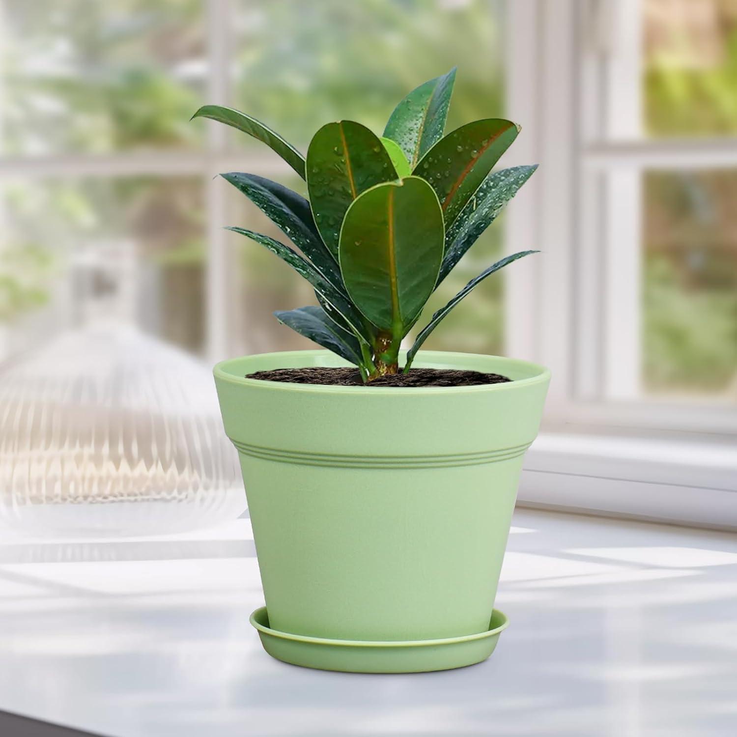 Macetas de Plástico 10 cm Meowell, Paquete de 16 Coloridas