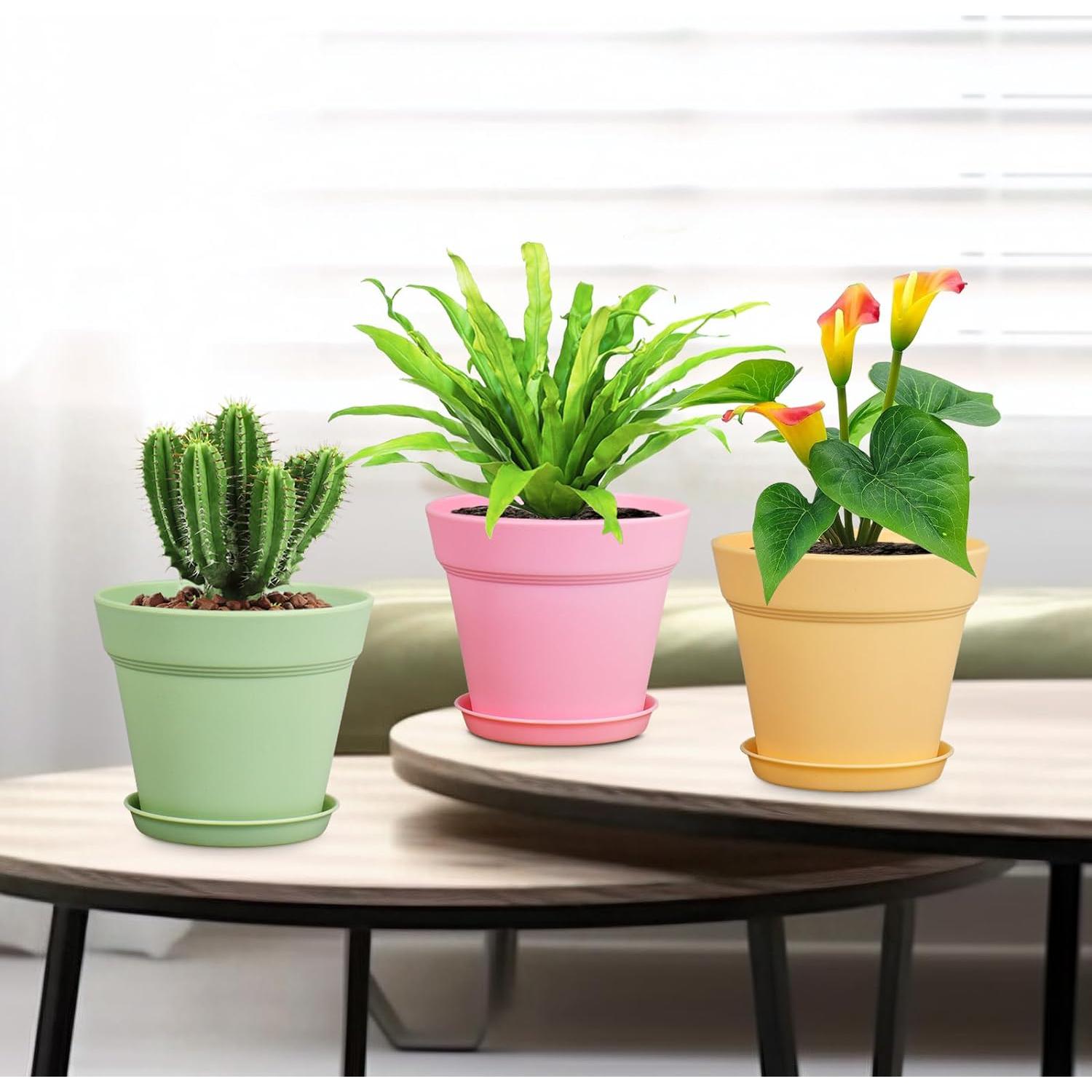 Macetas de Plástico 10 cm Meowell, Paquete de 16 Coloridas