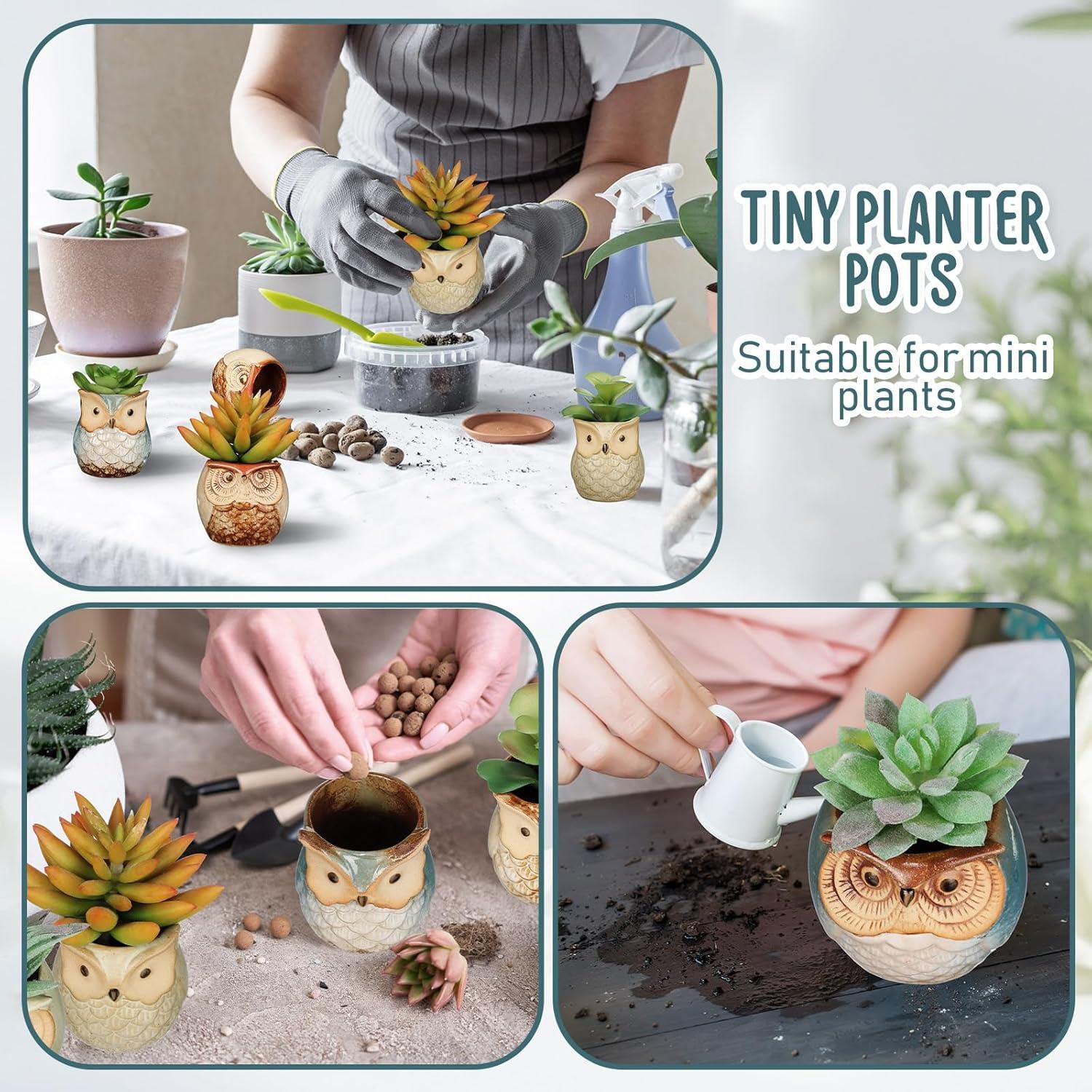 Nitial 24 Macetas de Cerámica en Forma de Búho Mini con Drenaje