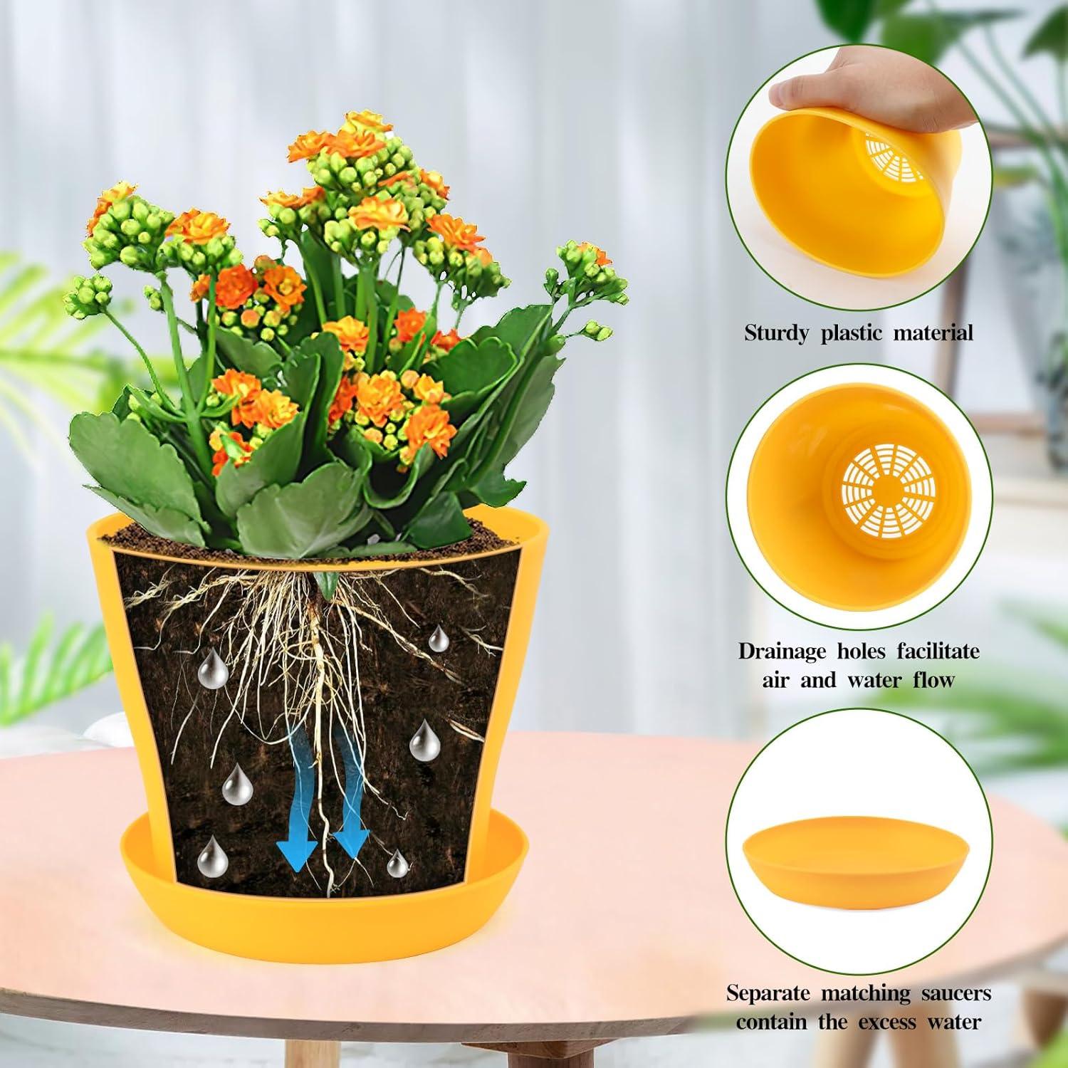 Macetas de 11.94 cm Bluckincle, Paquete de 8 Coloridas con Drenaje