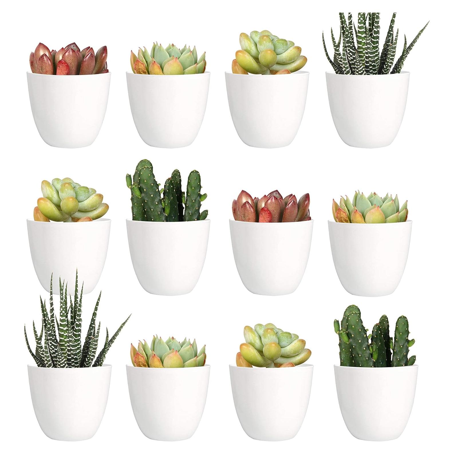 Juego de 24 Macetas de Plástico Youngever 5.08 cm Drenaje