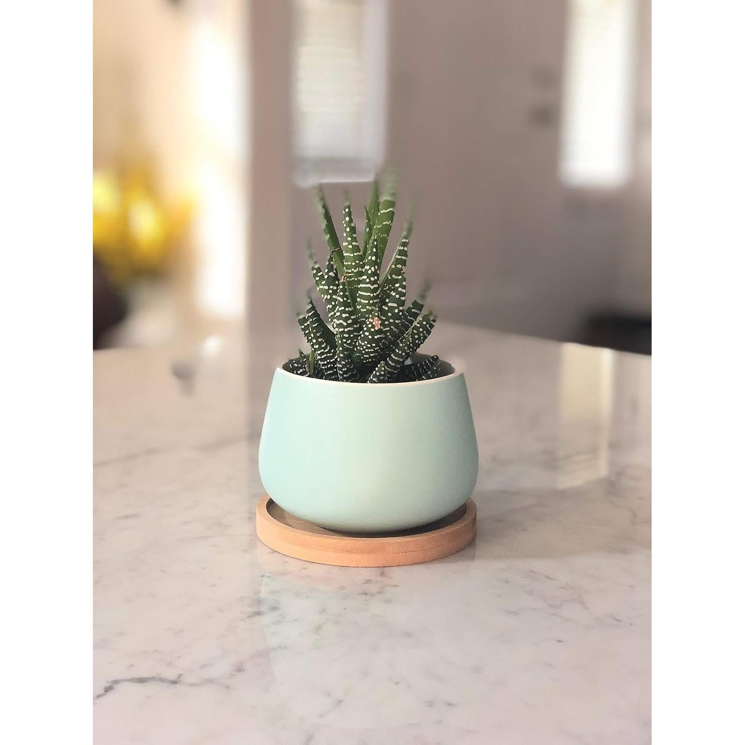 Macetas Cerámicas Redondas Chez JuJu 3" Surtidas Azul Rosa Amarillo