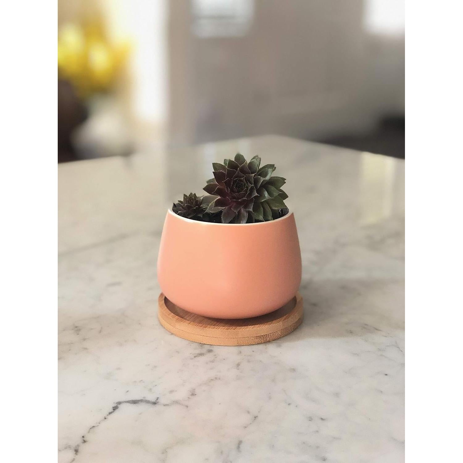 Macetas Cerámicas Redondas Chez JuJu 3" Surtidas Azul Rosa Amarillo