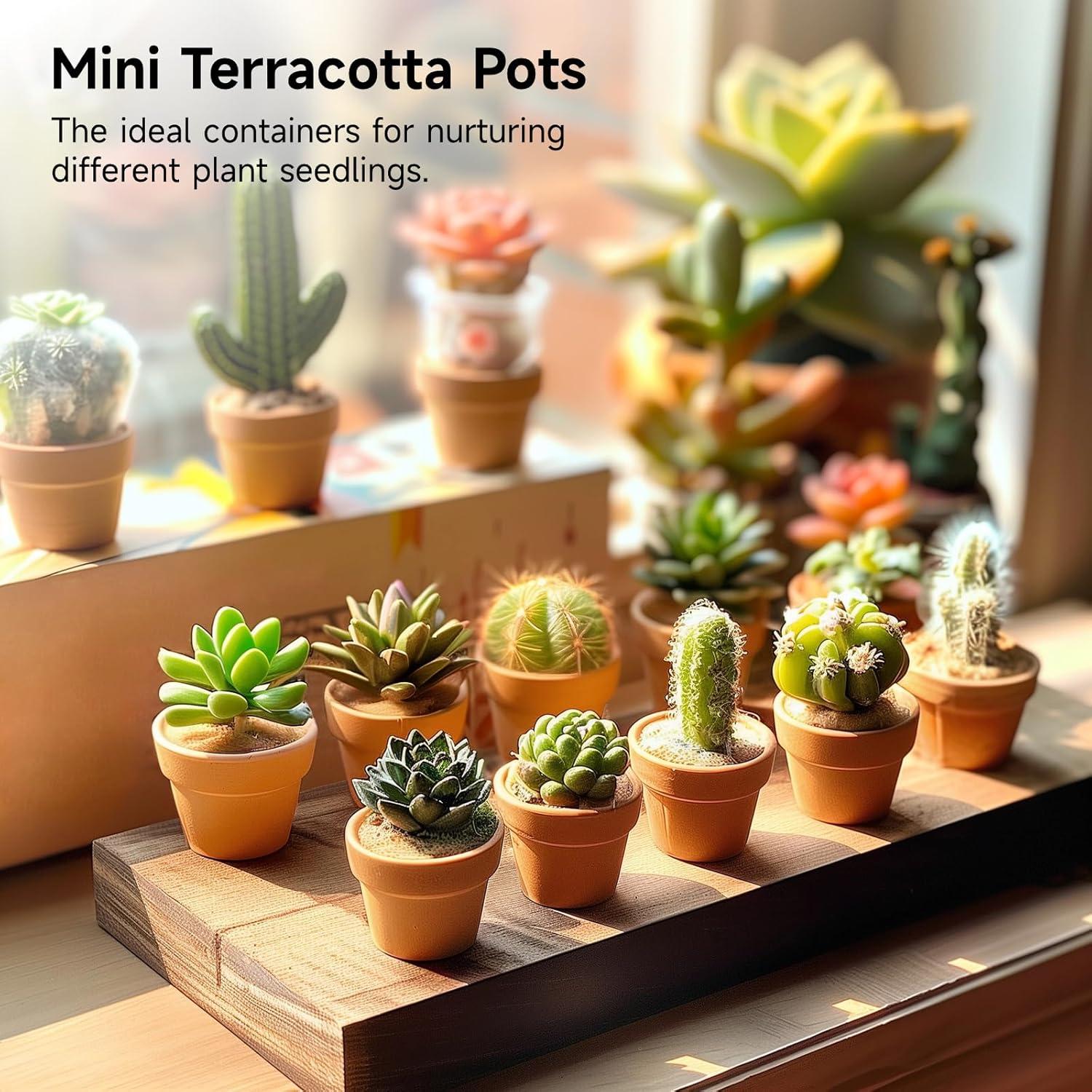 50 Mini Macetas de Terracota Tideme 3.05 cm con Drenaje