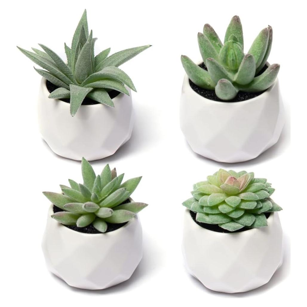Conjunto de Suculentas Falsas CADNLY en Macetas Cerámicas - 4 Piezas