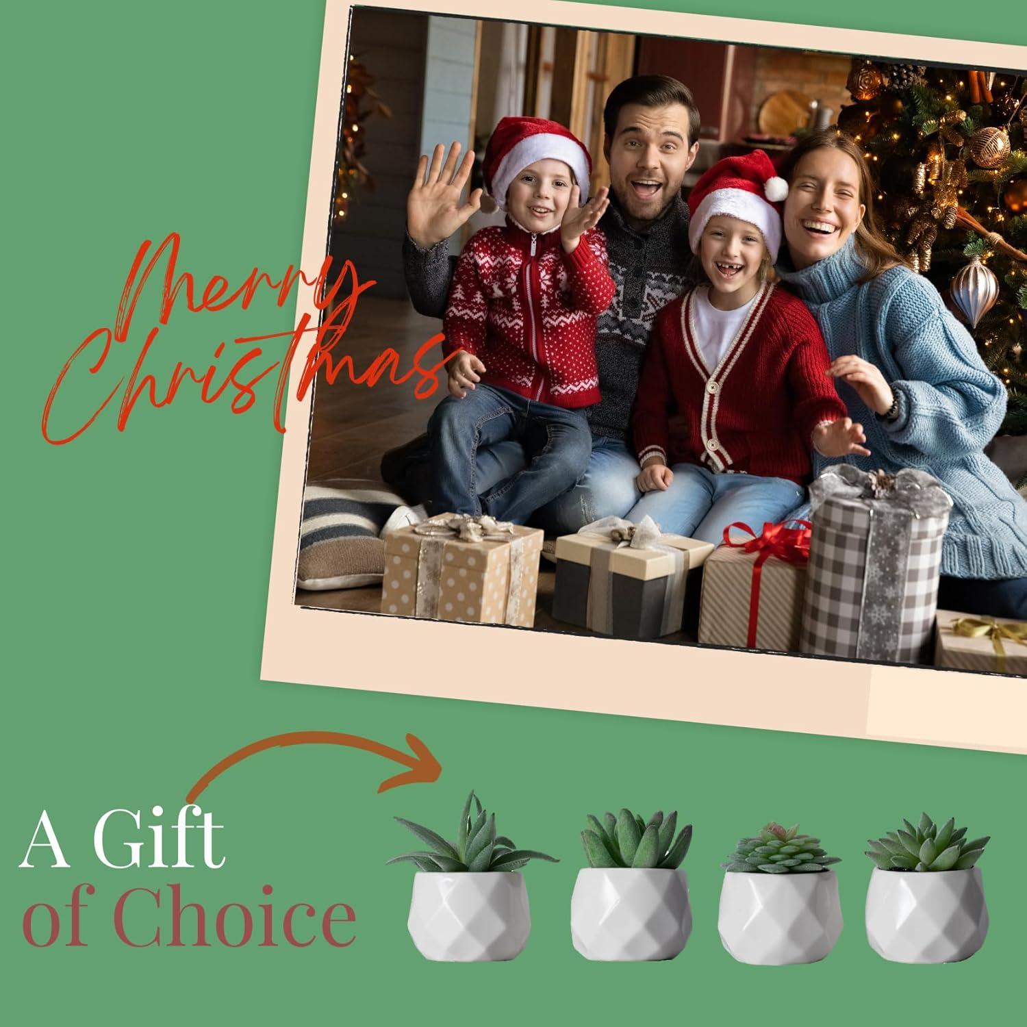 Conjunto de Suculentas Falsas CADNLY en Macetas Cerámicas - 4 Piezas