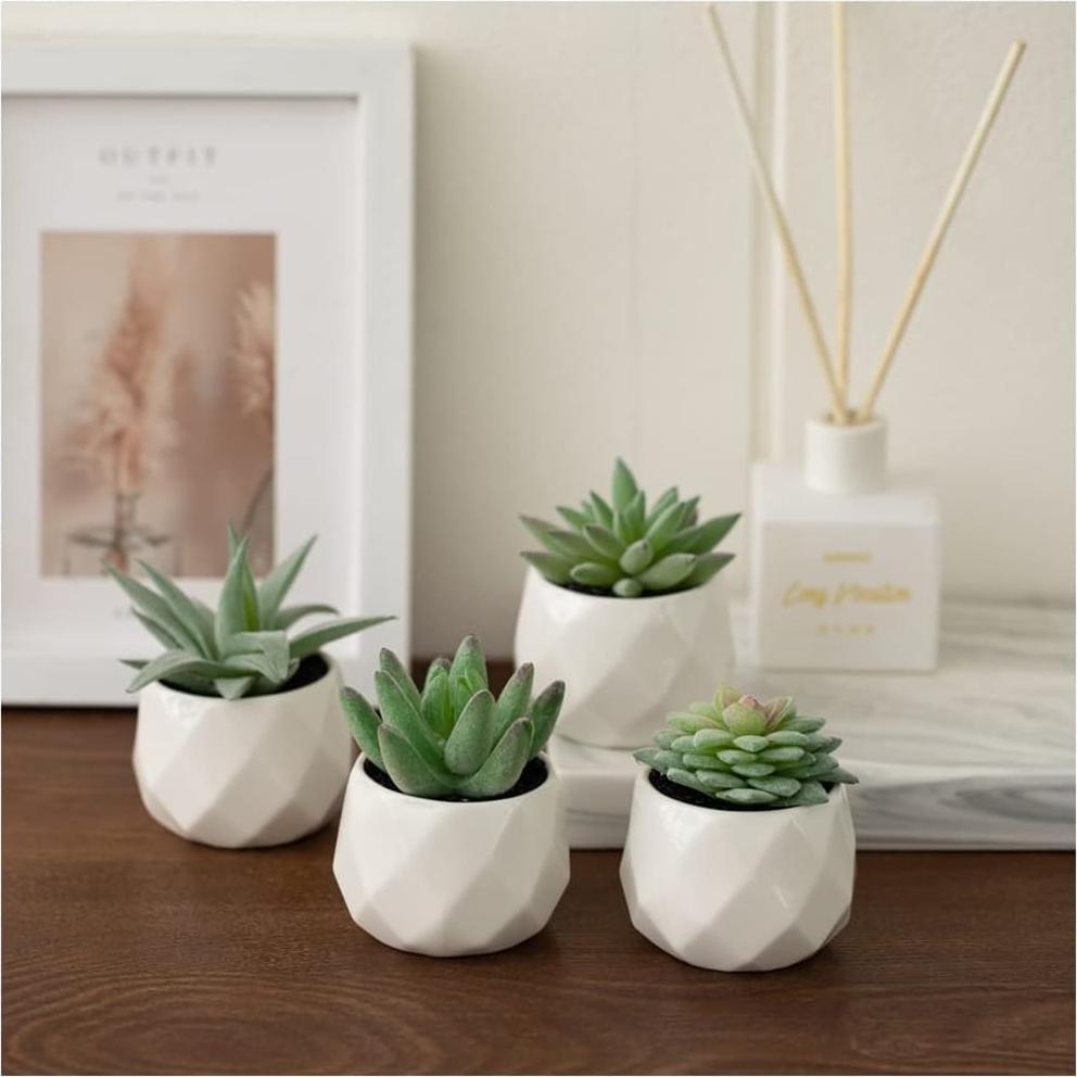 Conjunto de Suculentas Falsas CADNLY en Macetas Cerámicas - 4 Piezas