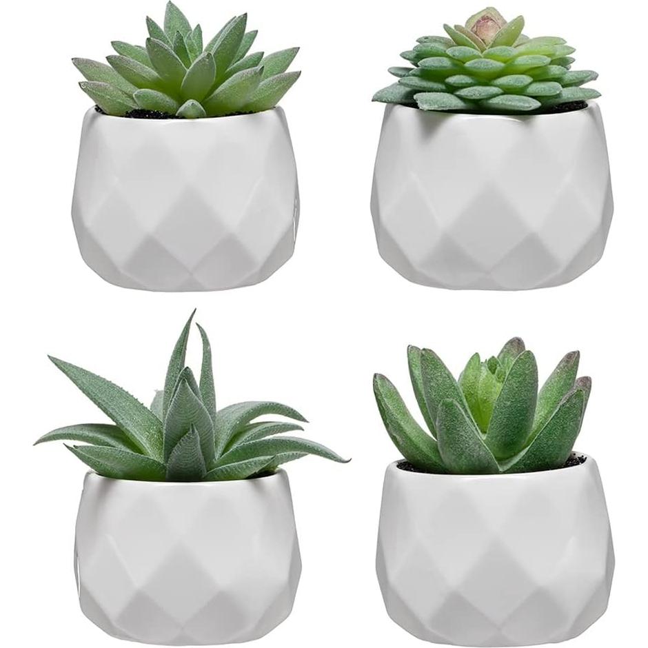 Conjunto de Suculentas Falsas CADNLY en Macetas Cerámicas - 4 Piezas