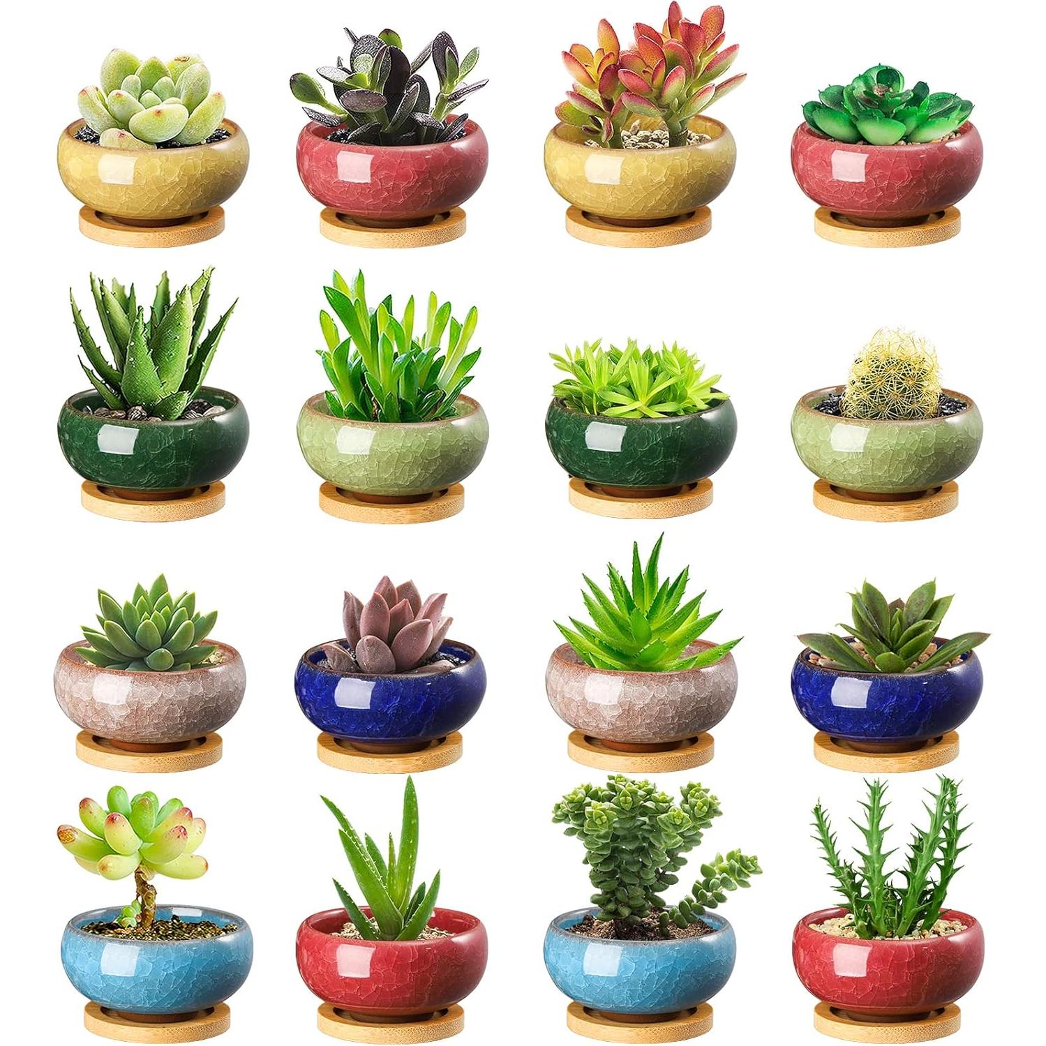 TOPZEA 16 Mini Macetas de Cerámica para Suculentas 6.35 cm