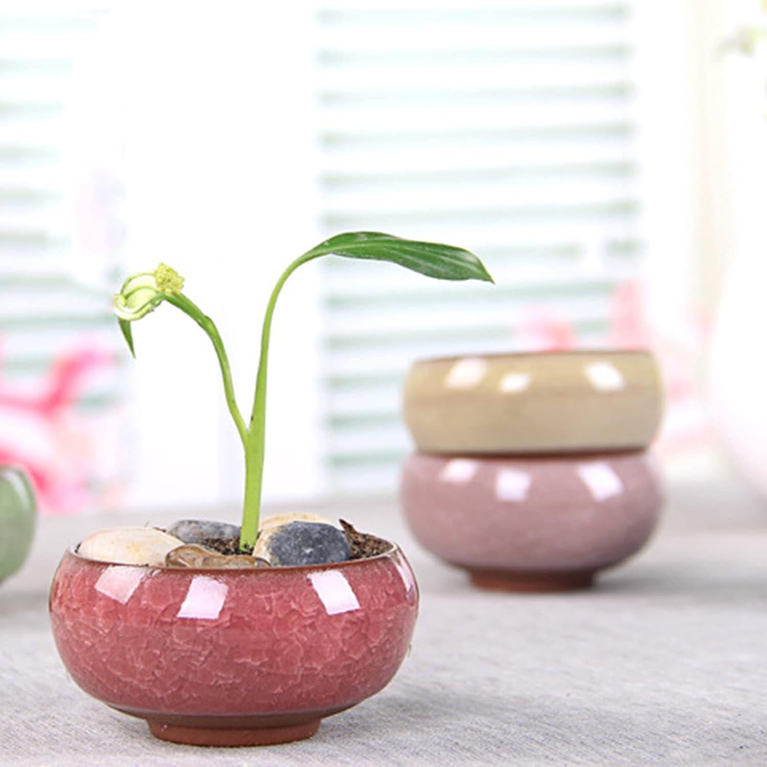 TOPZEA 16 Mini Macetas de Cerámica para Suculentas 6.35 cm
