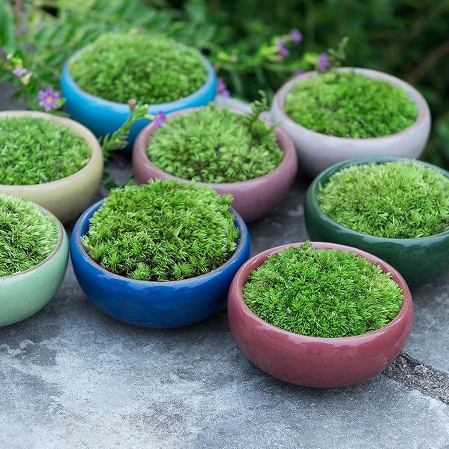 TOPZEA 16 Mini Macetas de Cerámica para Suculentas 6.35 cm