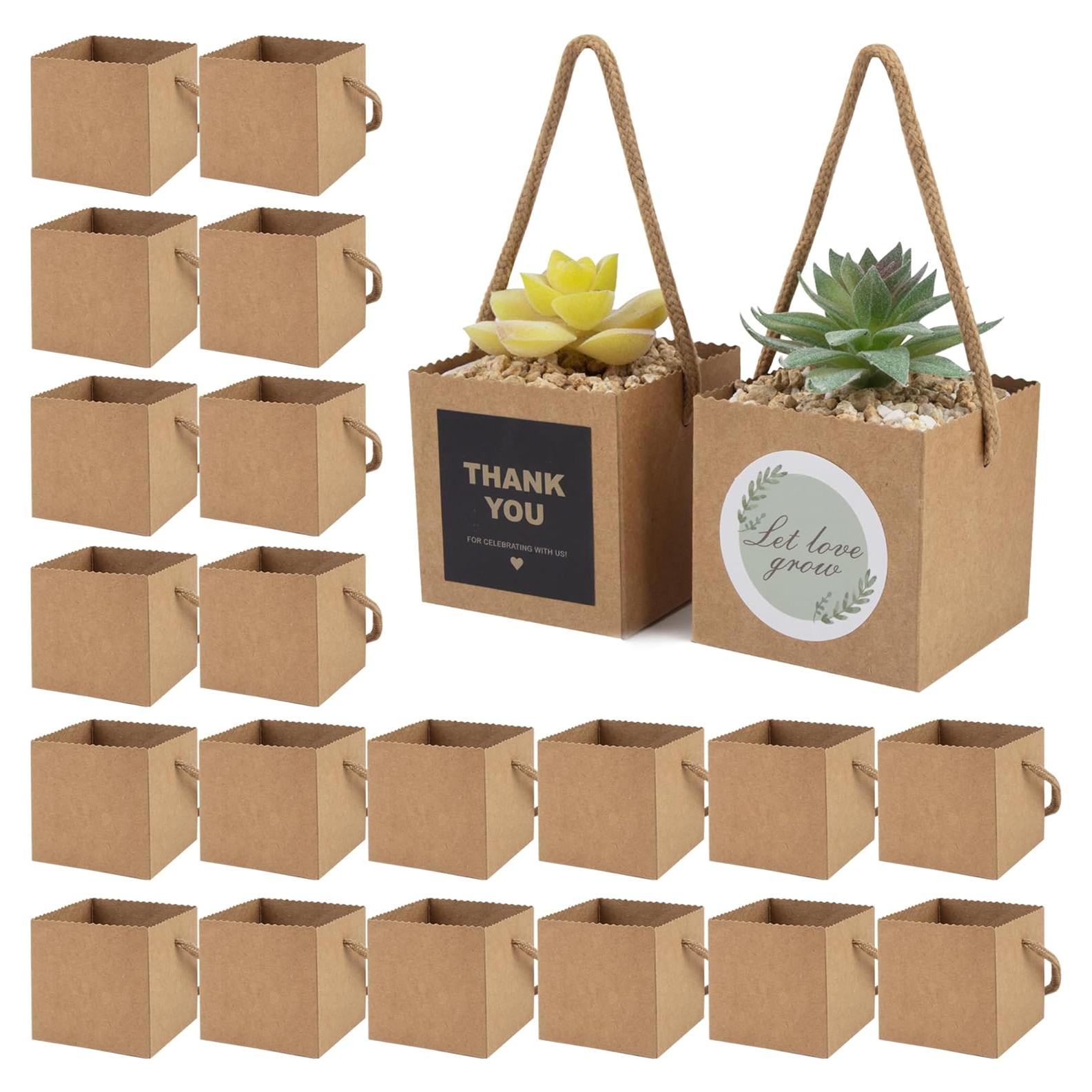 Bolsas de Envoltura para Suculentas Temlum 6.35cm 40pcs