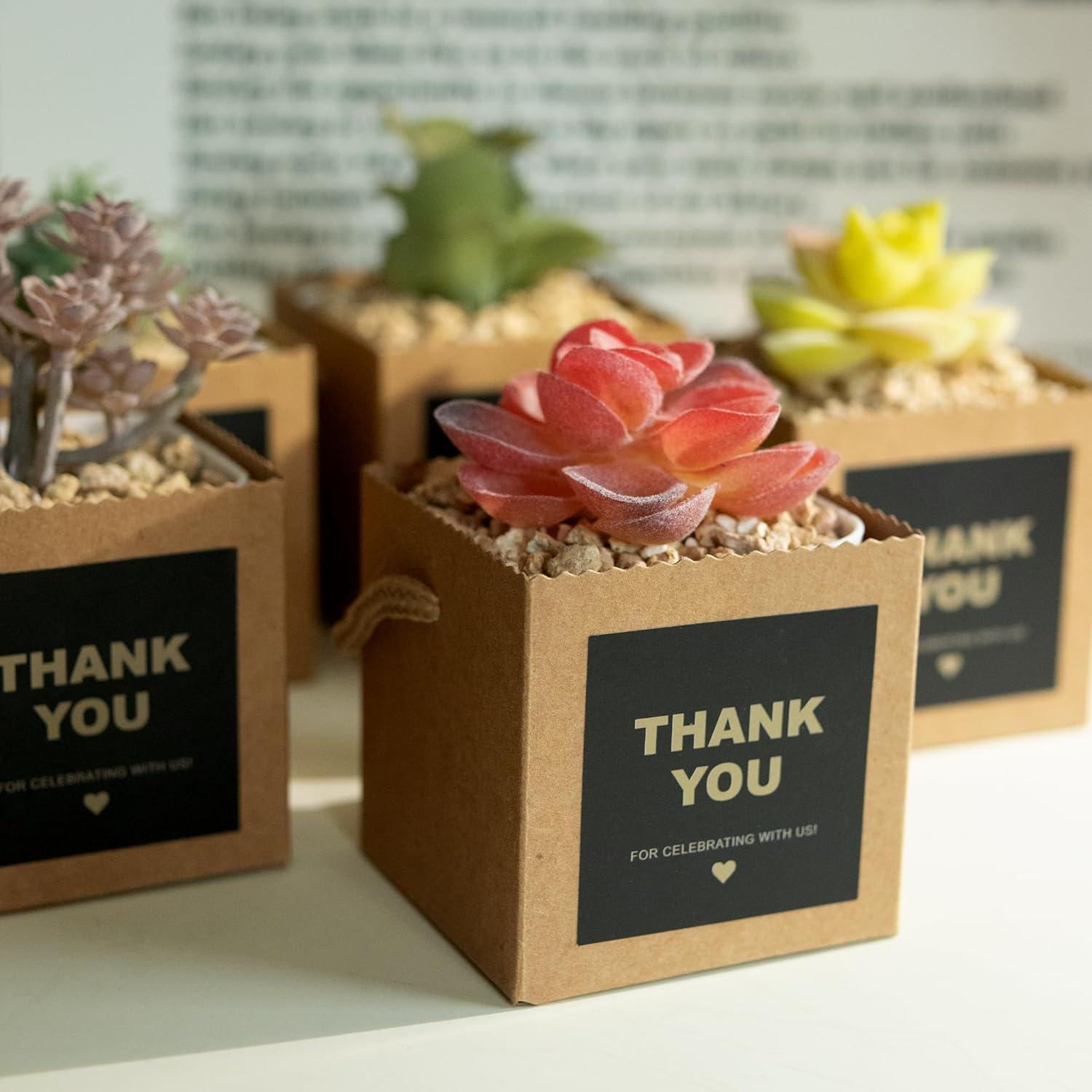 Bolsas de Envoltura para Suculentas Temlum 6.35cm 40pcs