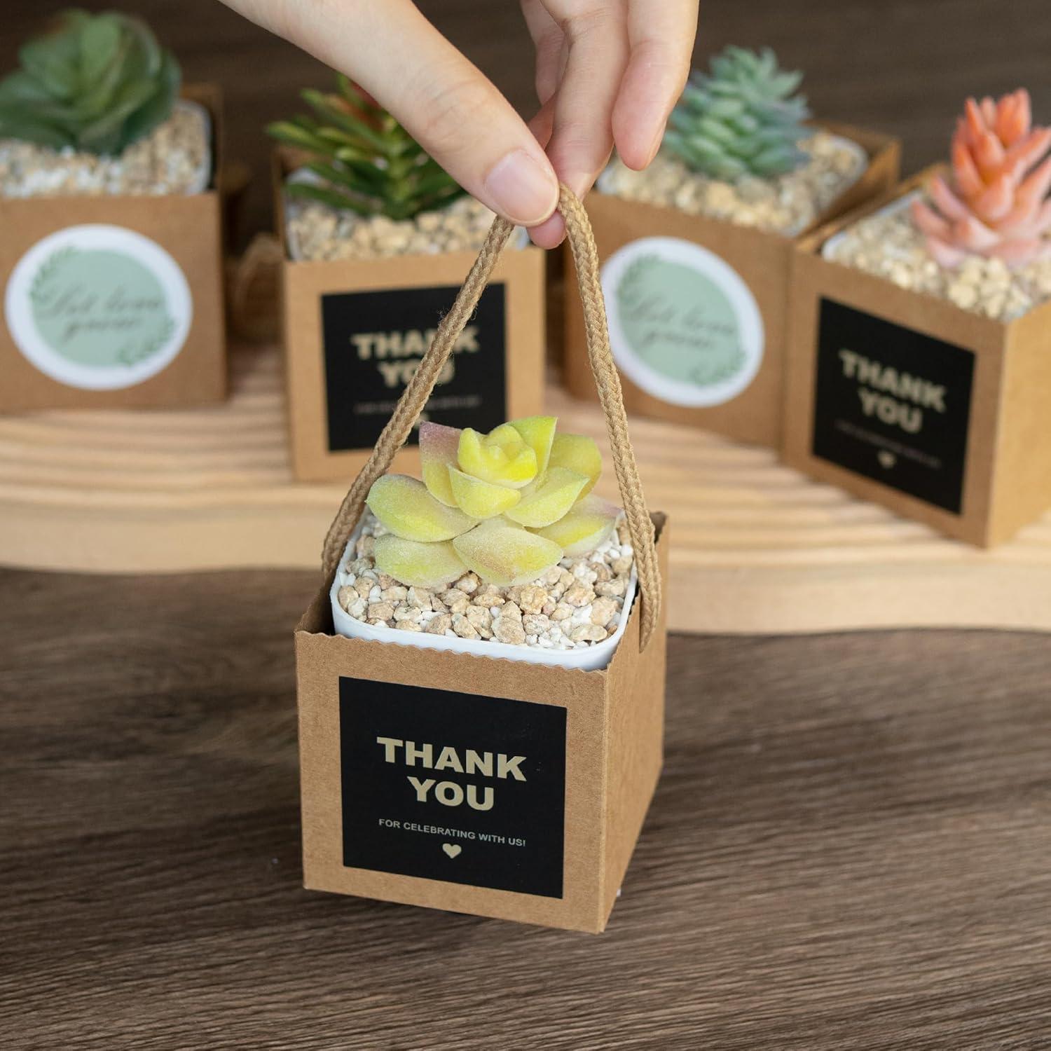 Bolsas de Envoltura para Suculentas Temlum 6.35cm 40pcs