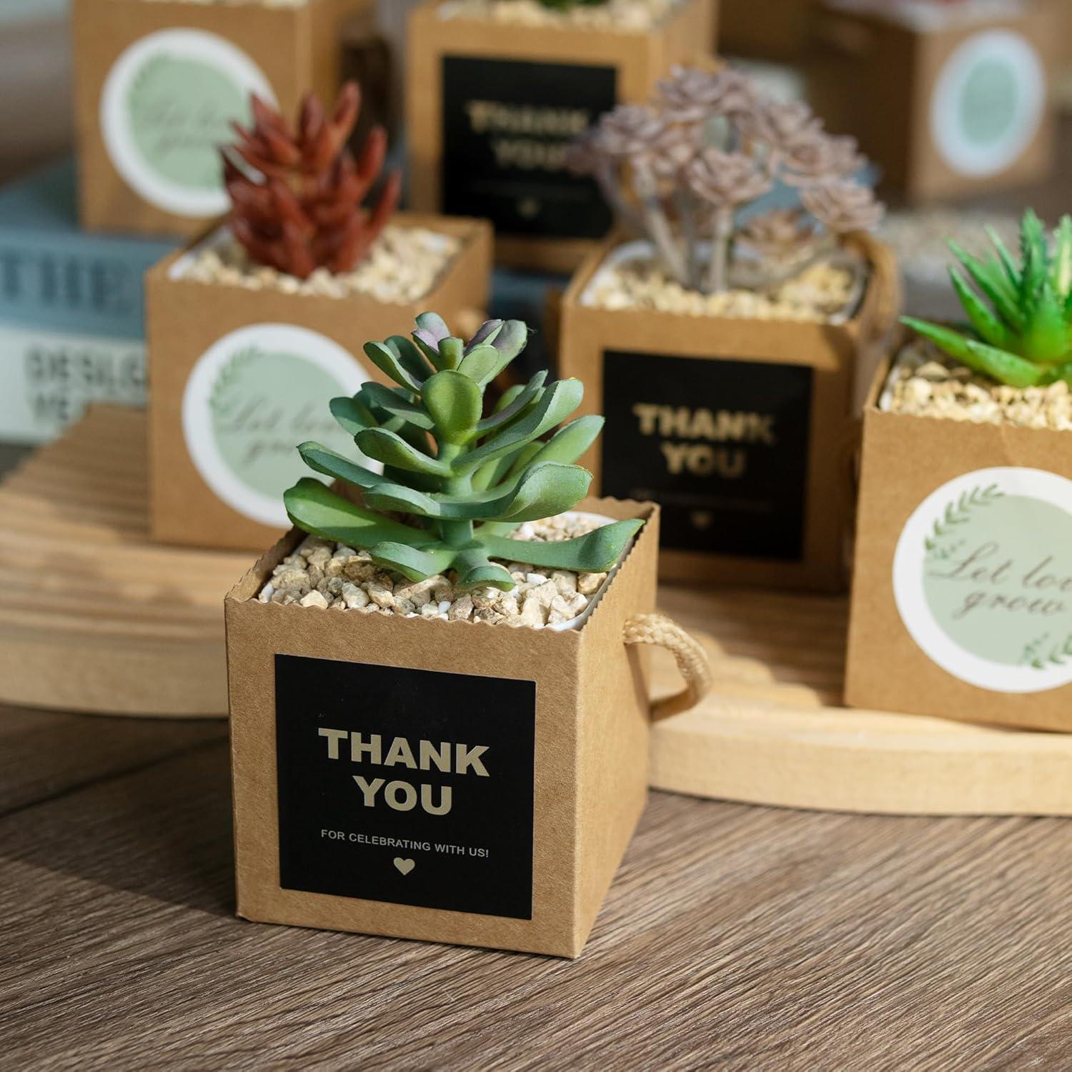 Bolsas de Envoltura para Suculentas Temlum 6.35cm 40pcs