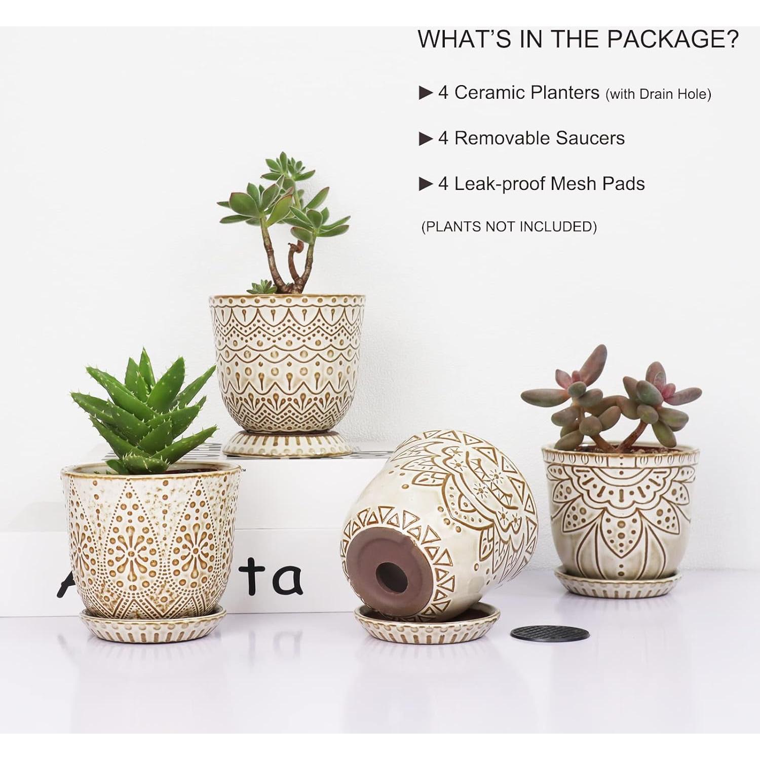 Macetas Suculentas Gepege - Cerámica 10 cm - Juego de 4