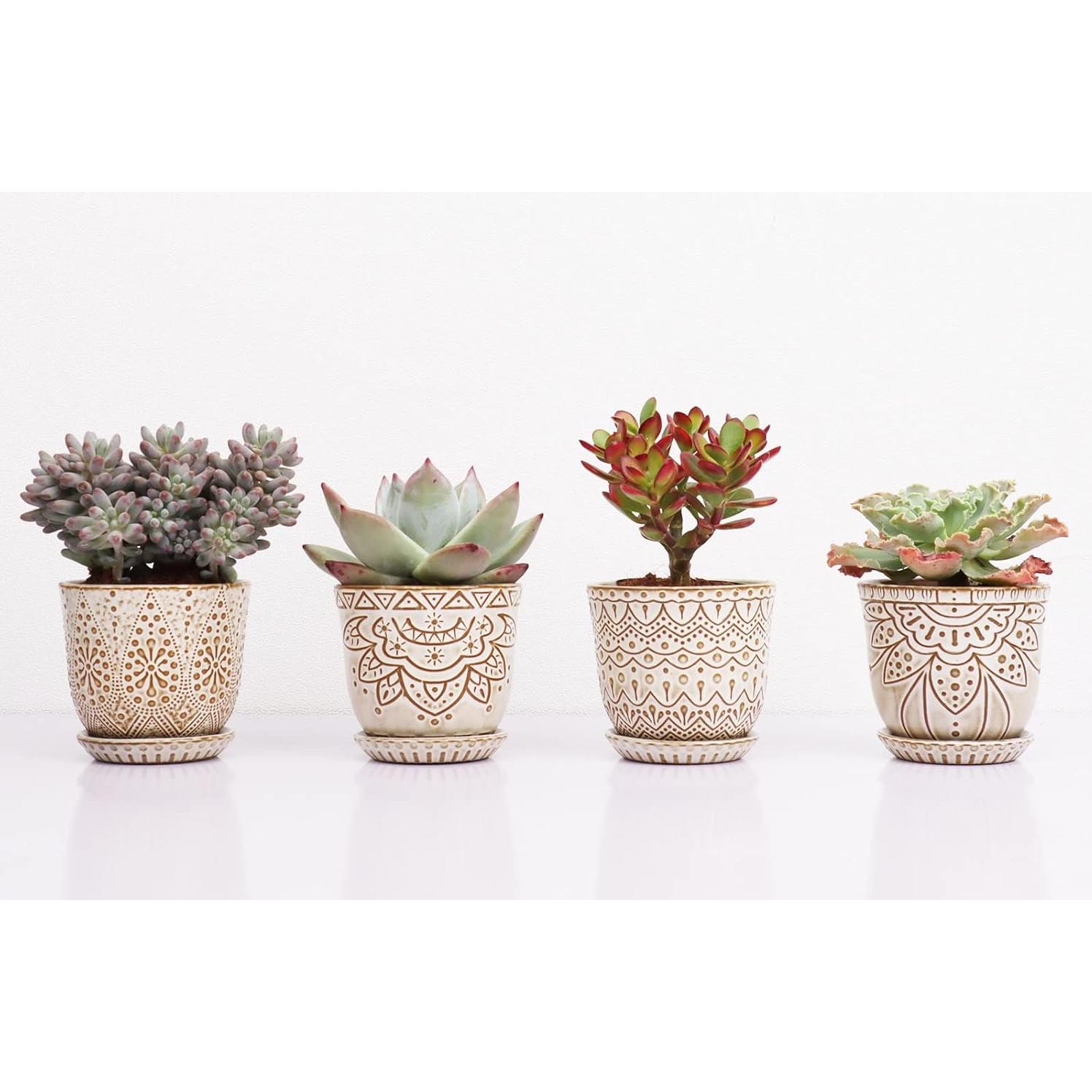 Macetas Suculentas Gepege - Cerámica 10 cm - Juego de 4