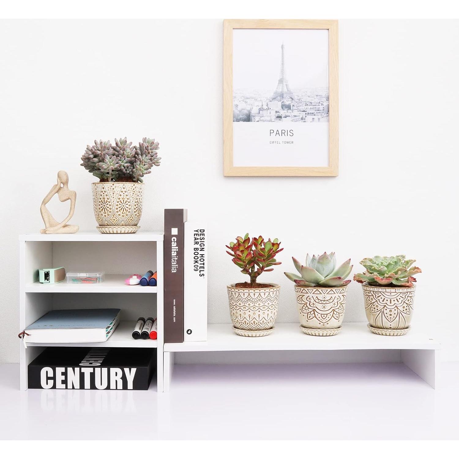 Macetas Suculentas Gepege - Cerámica 10 cm - Juego de 4