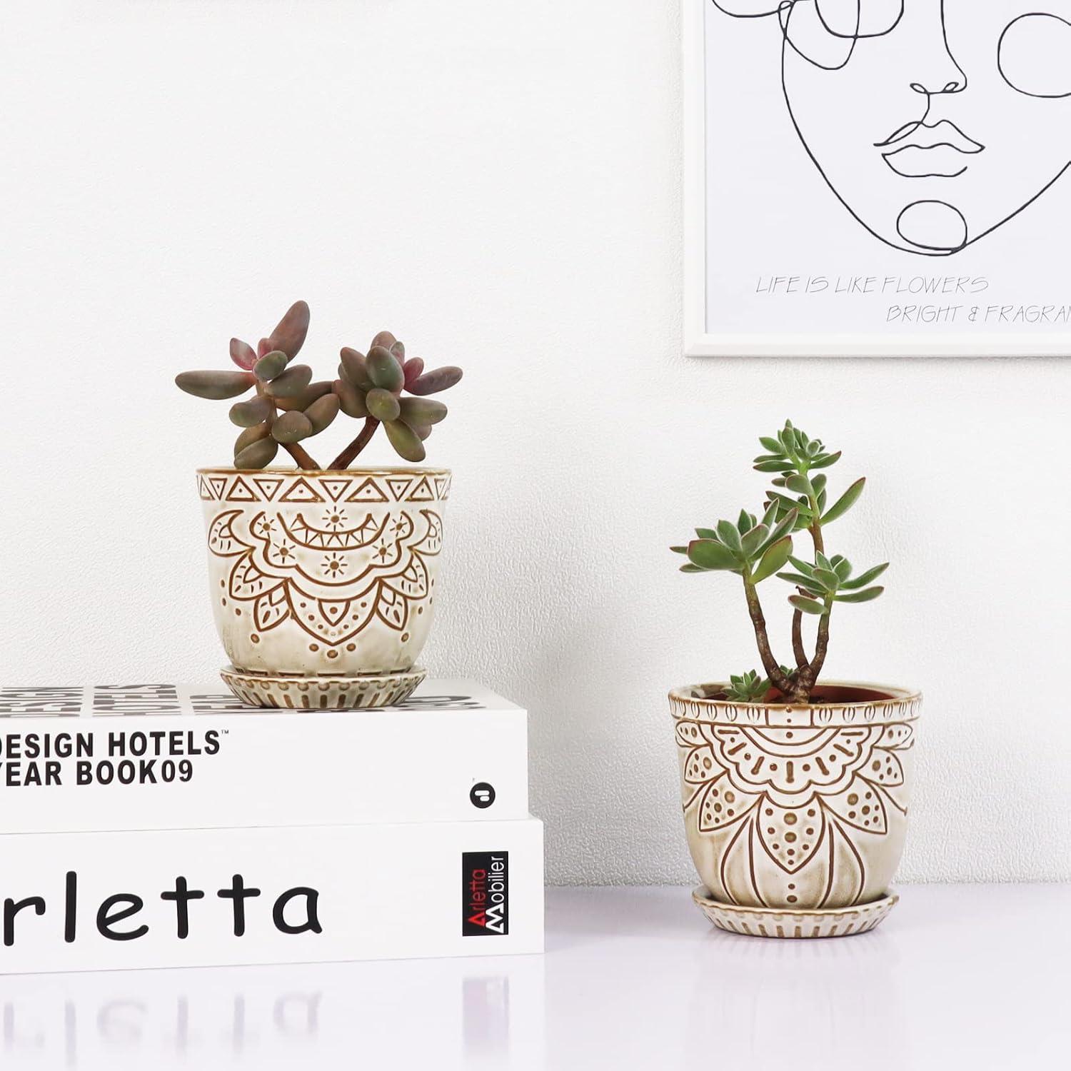 Macetas Suculentas Gepege - Cerámica 10 cm - Juego de 4