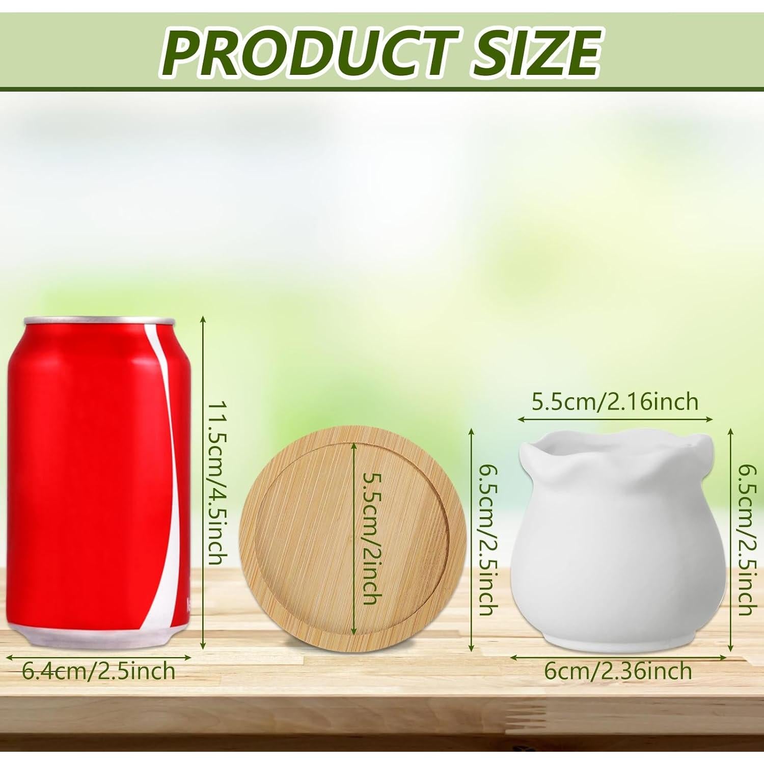 Remerry 12 Macetas Cerámica para Suculentas 6 Estilos 6.35 cm