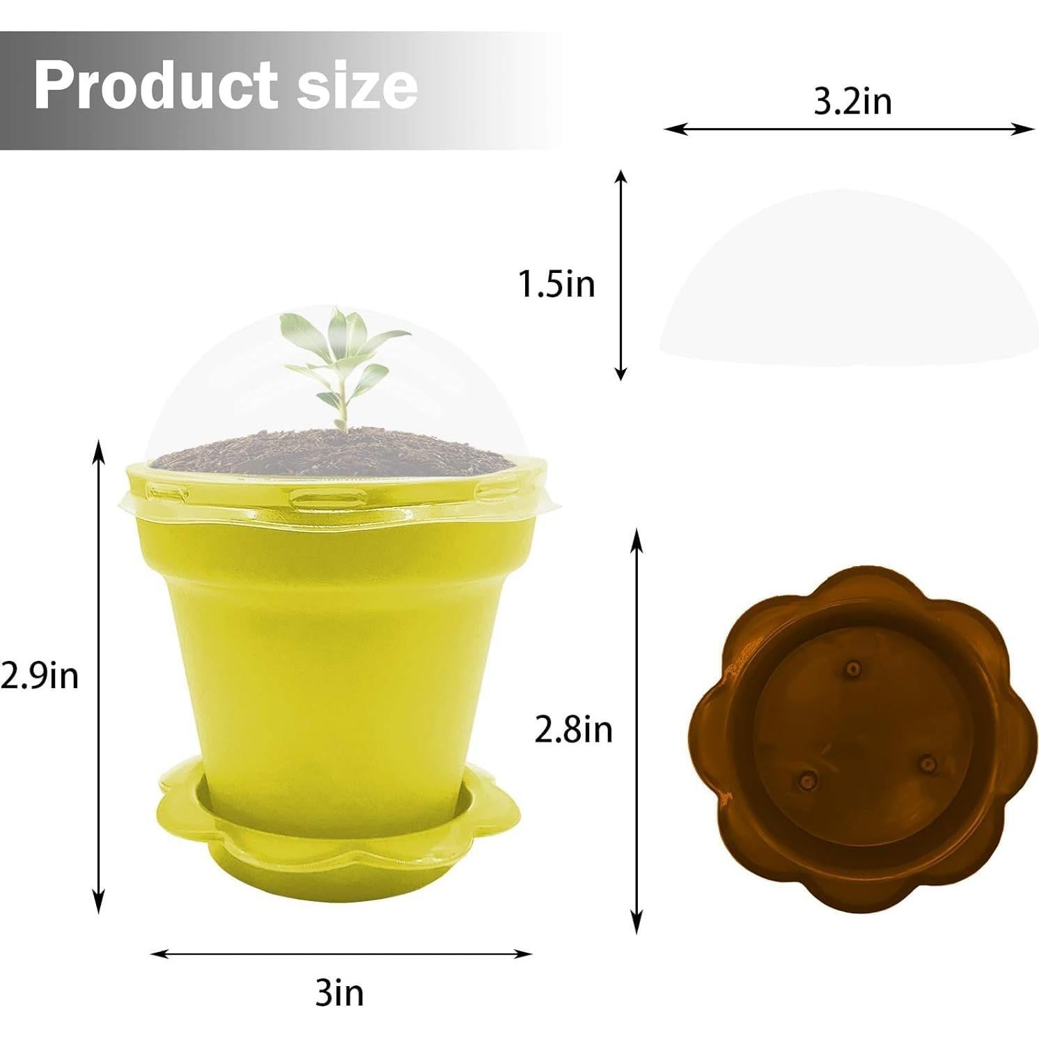 50 Macetas de Vivero PURPLE STAR 1N con Domo de Humedad