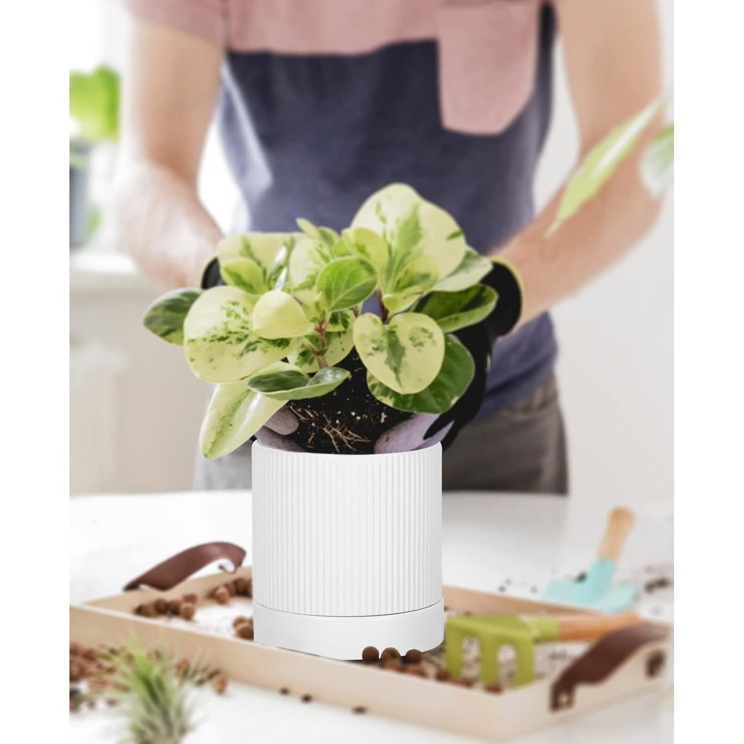 LaDoVita 3 Macetas de Cerámica 15/12/10 cm con Drenaje