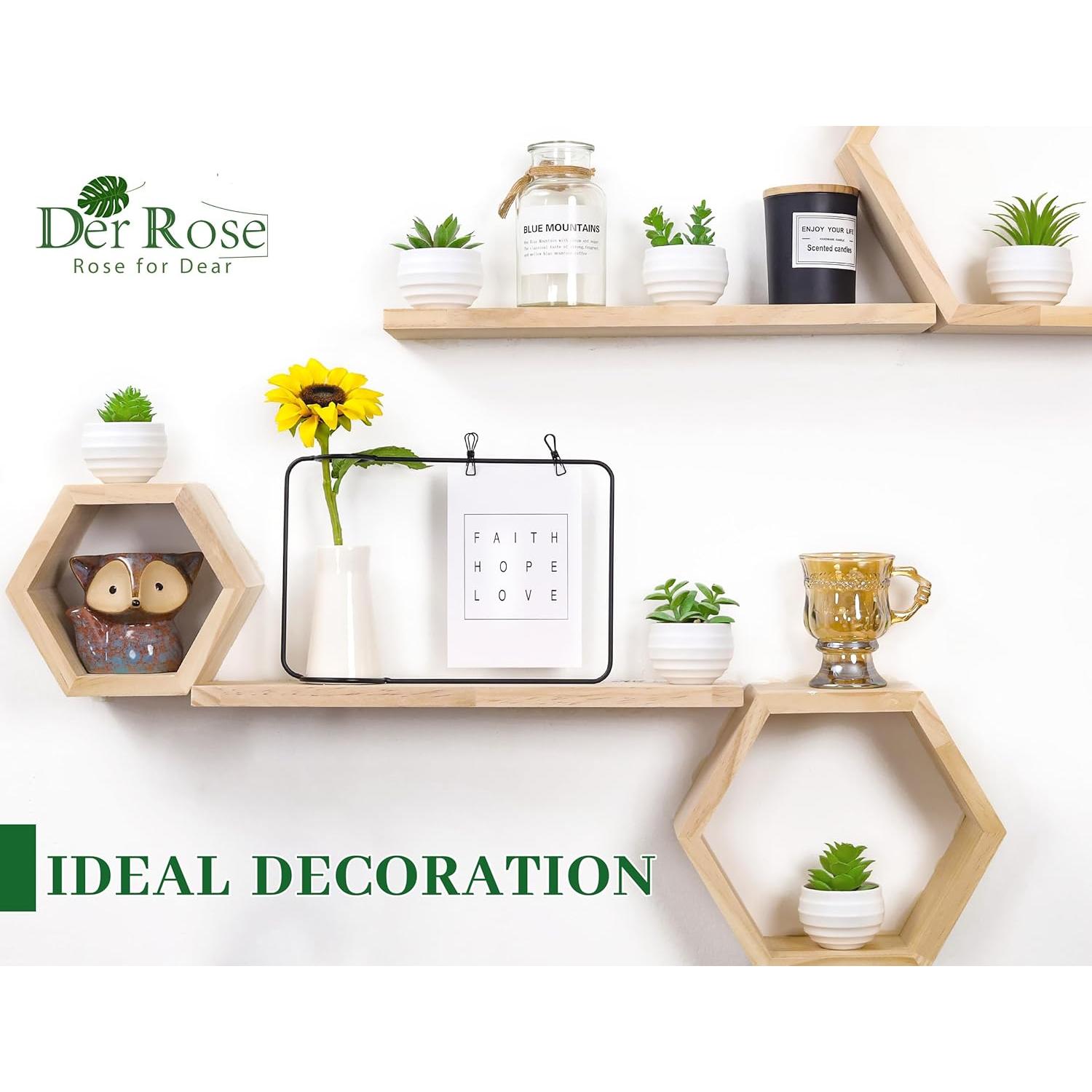 Set de 6 Plantas Suculentas Artificiales Der Rose en Macetas