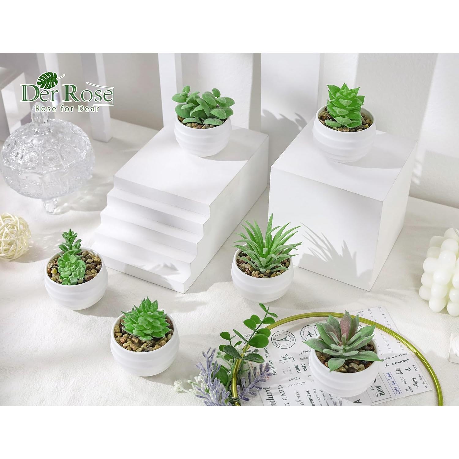 Set de 6 Plantas Suculentas Artificiales Der Rose en Macetas