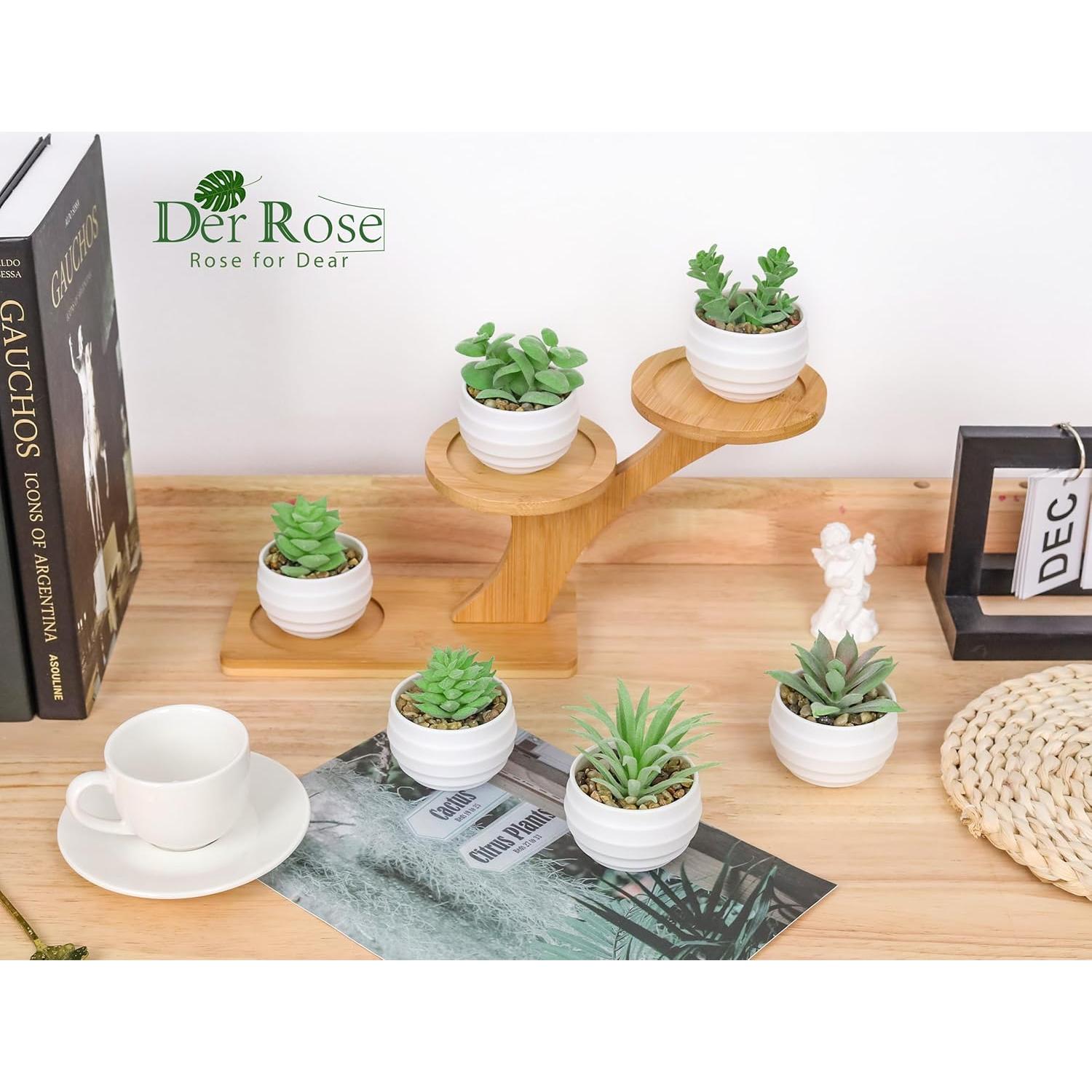 Set de 6 Plantas Suculentas Artificiales Der Rose en Macetas