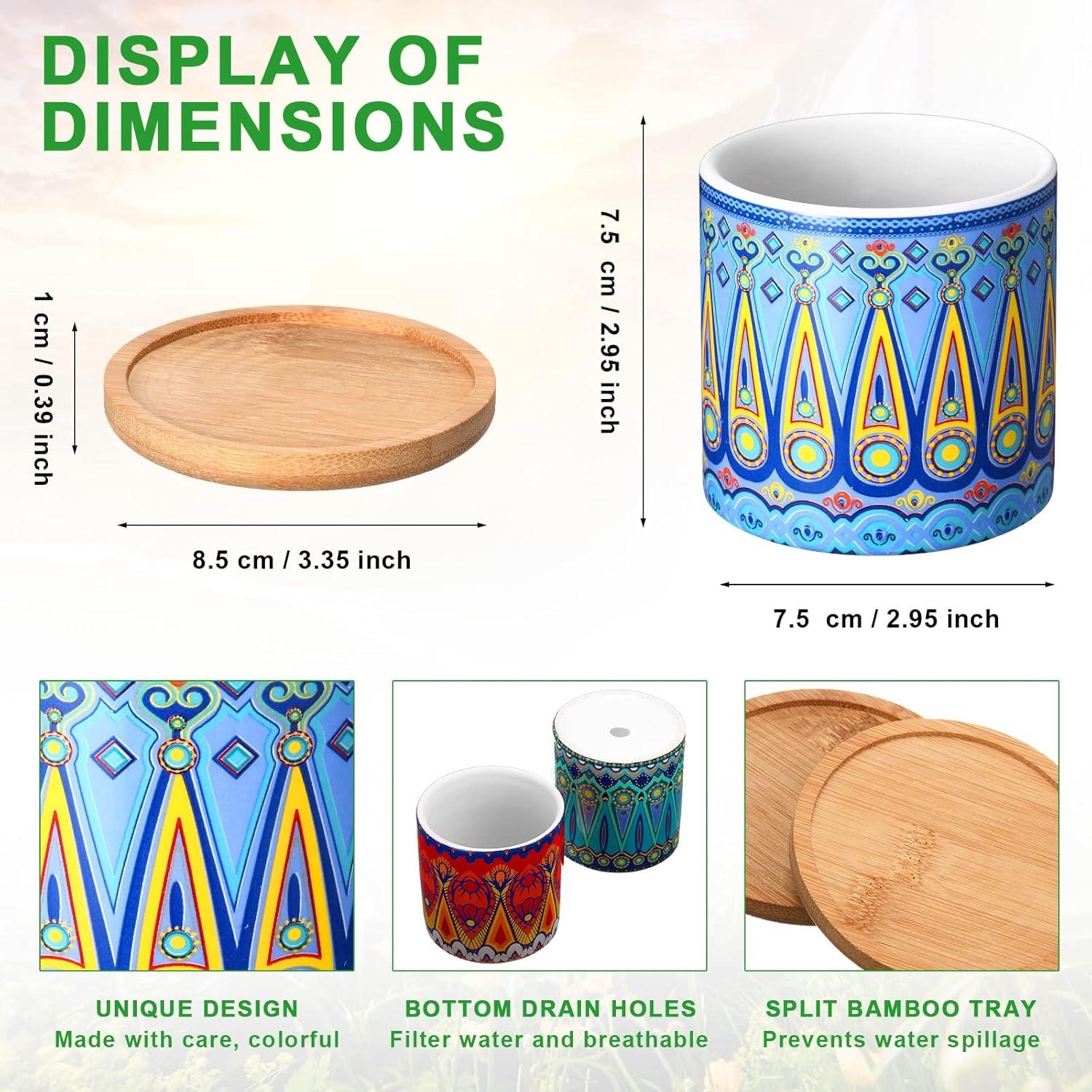 Zopeal 12 Macetas Cerámicas Multicolor para Suculentas