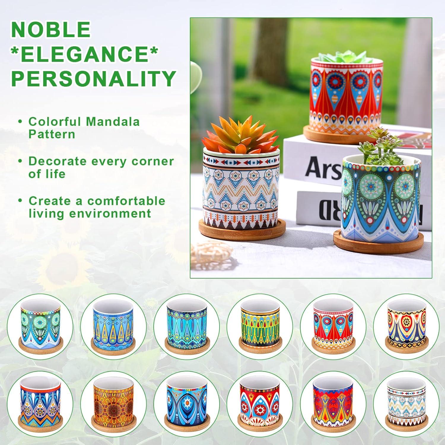 Zopeal 12 Macetas Cerámicas Multicolor para Suculentas