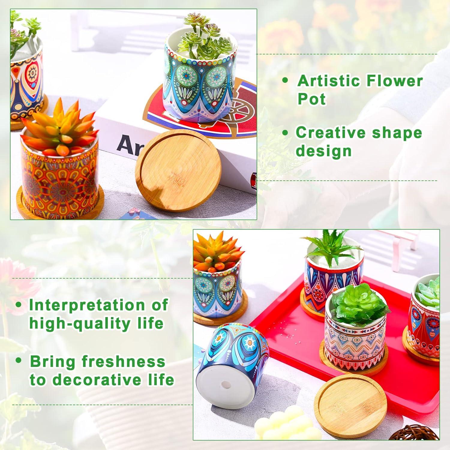 Zopeal 12 Macetas Cerámicas Multicolor para Suculentas