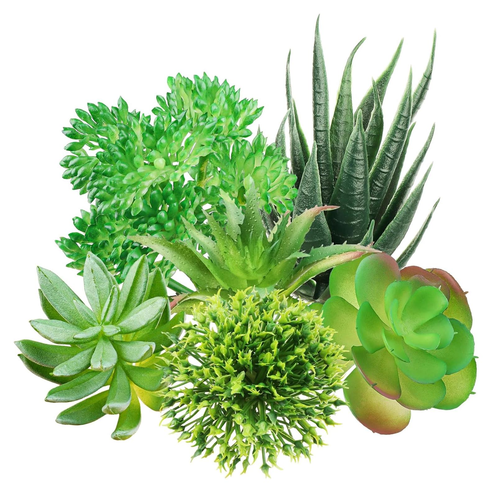 Plantas Suculentas Artificiales QUOZUO 6pcs Verdes 6-13cm