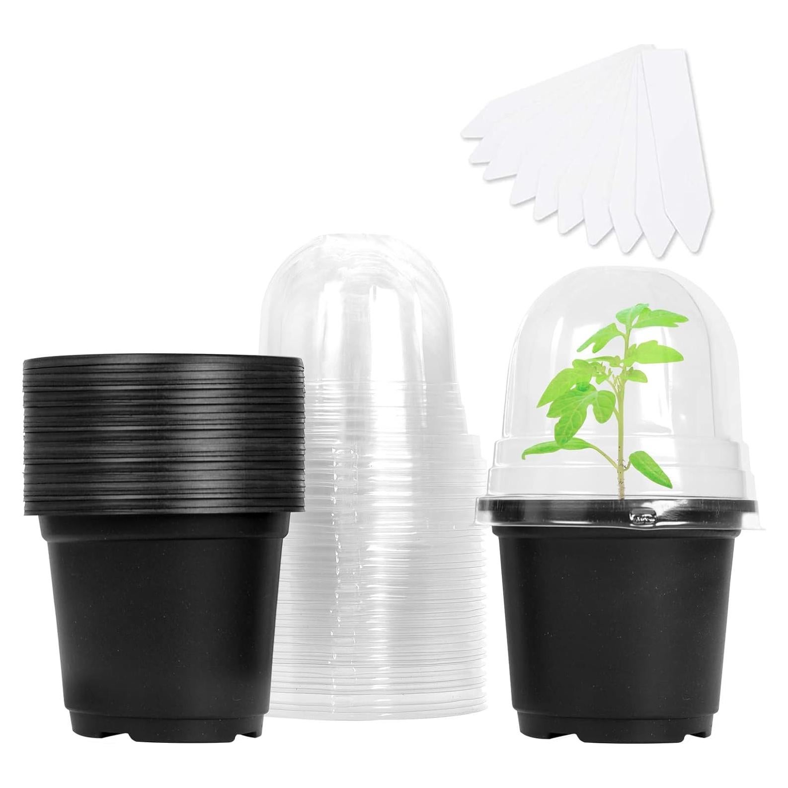 Macetas de Vivero MIXC con Tapa de Humedad 10 Unidades