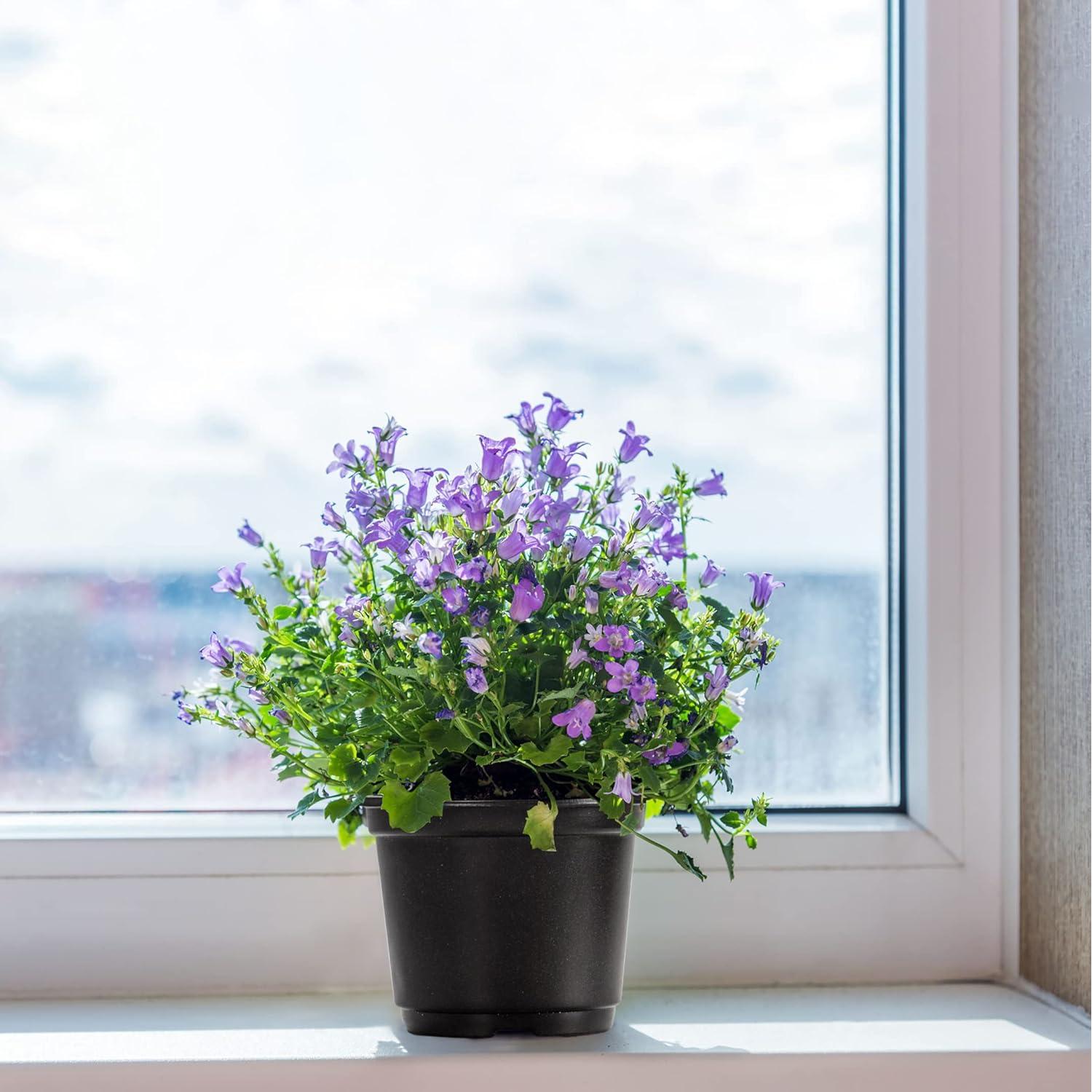 Macetas de Vivero MIXC con Tapa de Humedad 10 Unidades