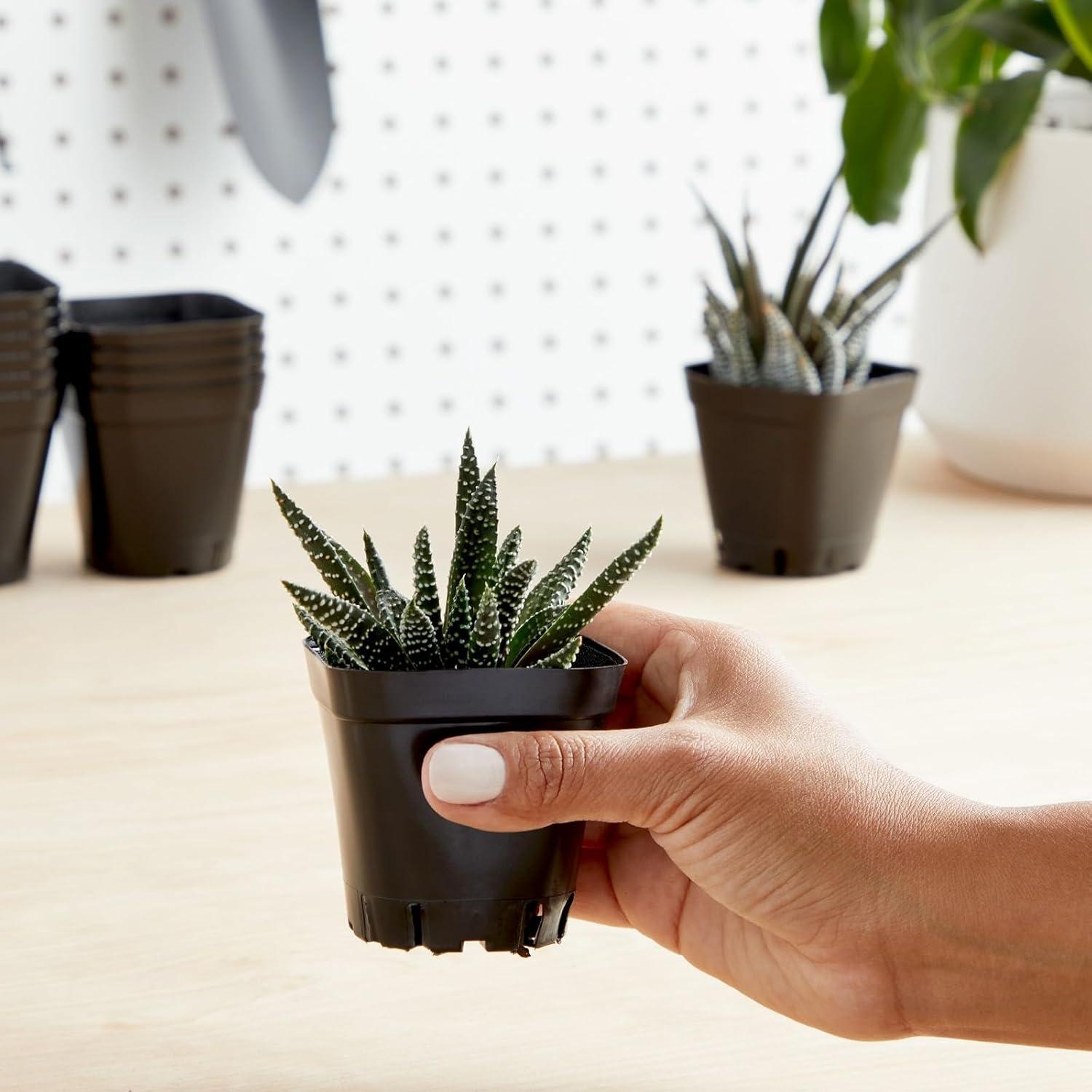 Juvale 150 Macetas Cuadradas de Plástico Negro 6.6cm