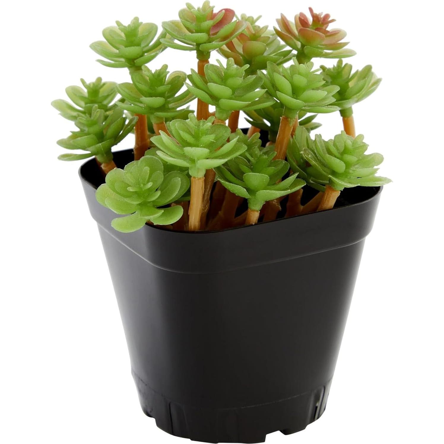 Juvale 150 Macetas Cuadradas de Plástico Negro 6.6cm