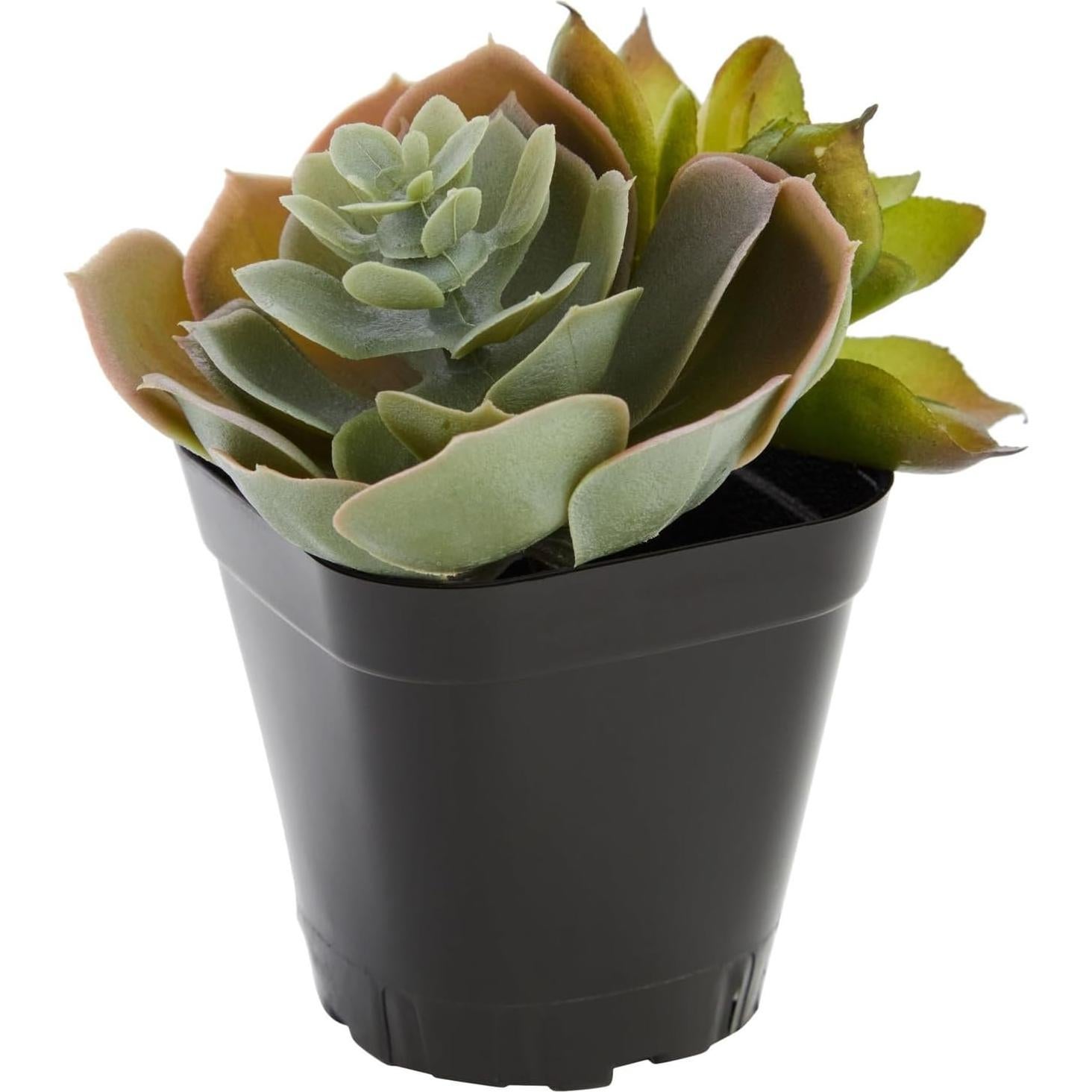 Juvale 150 Macetas Cuadradas de Plástico Negro 6.6cm